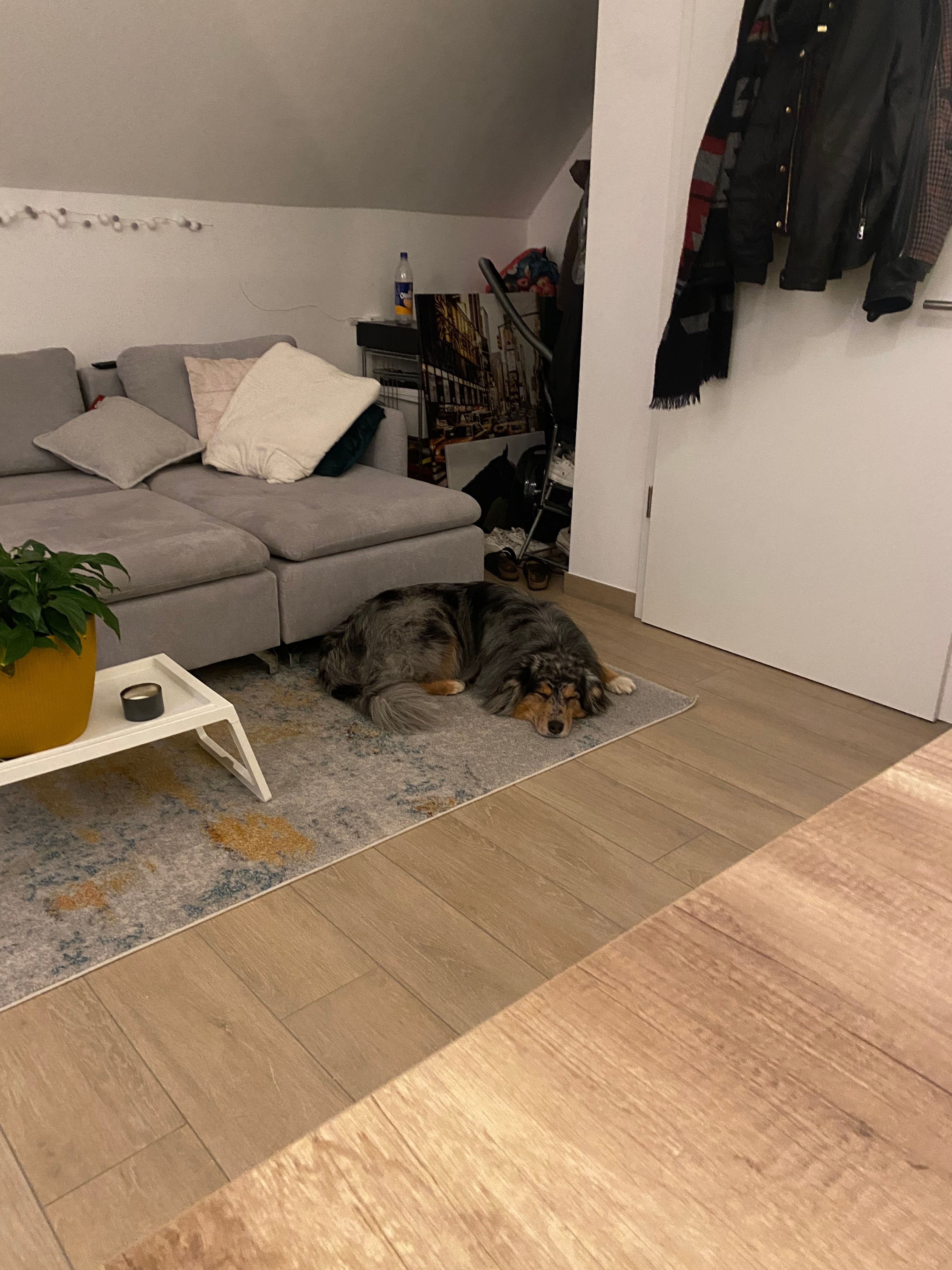 image-8