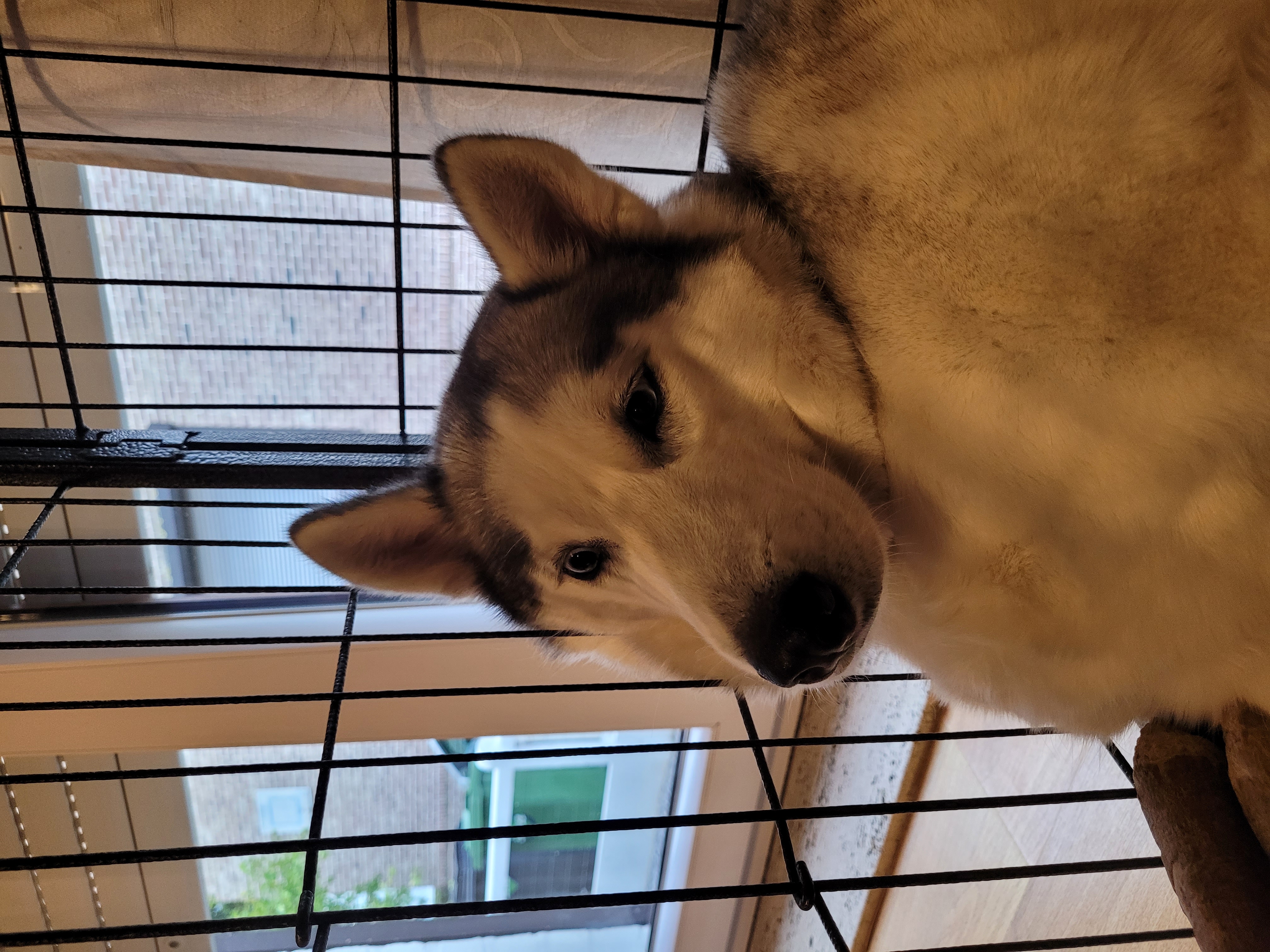 image-6
