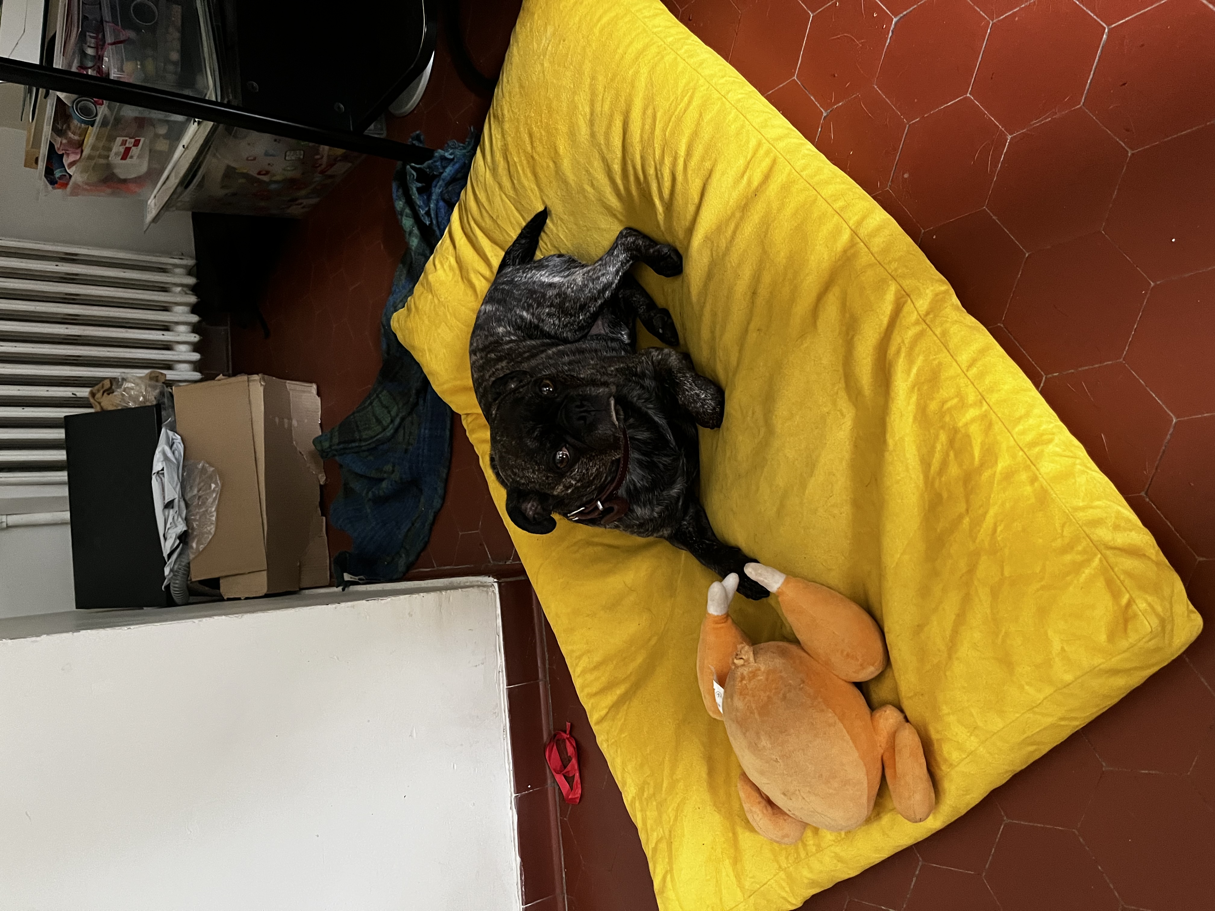 image-4