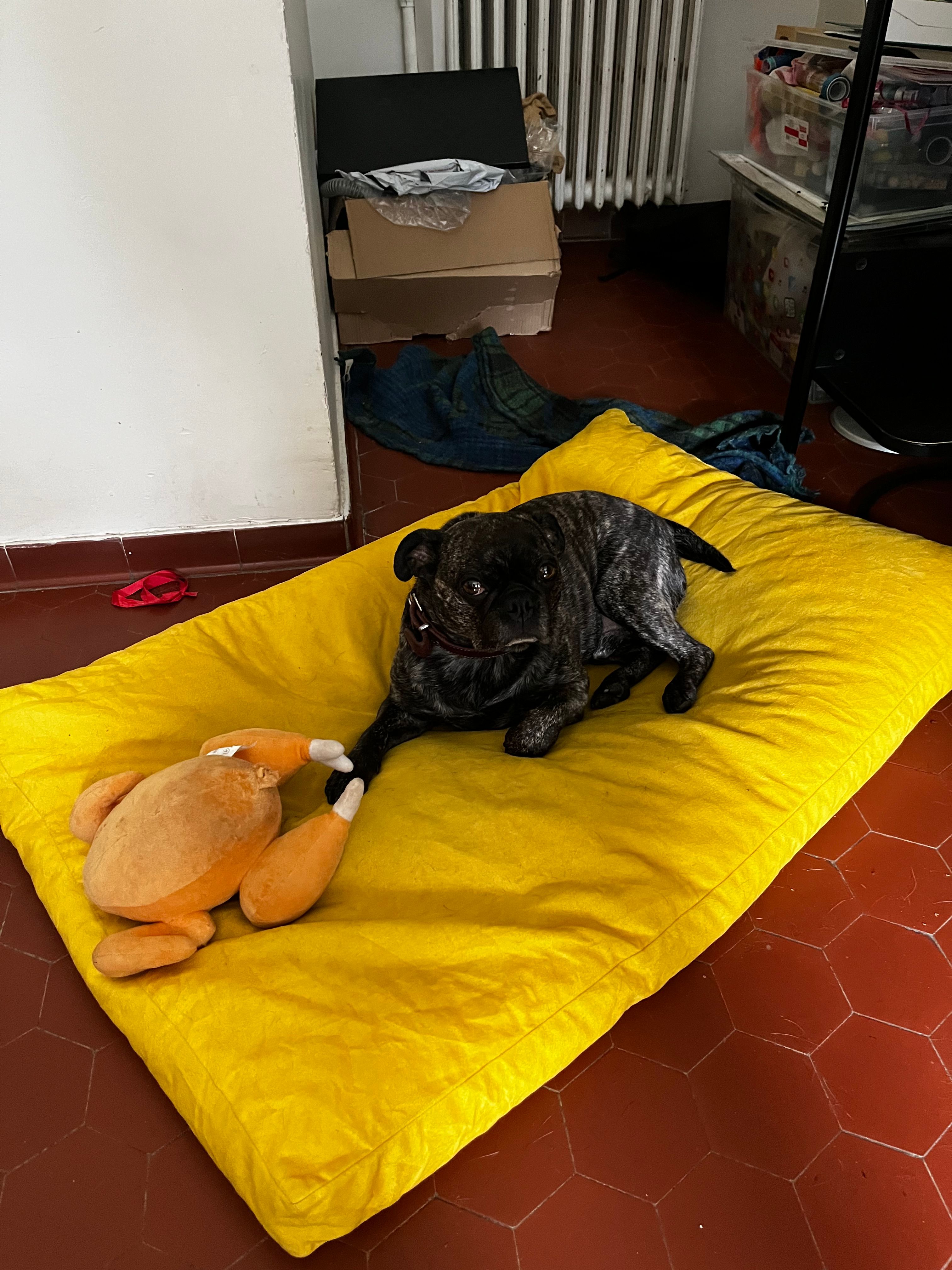 image-4