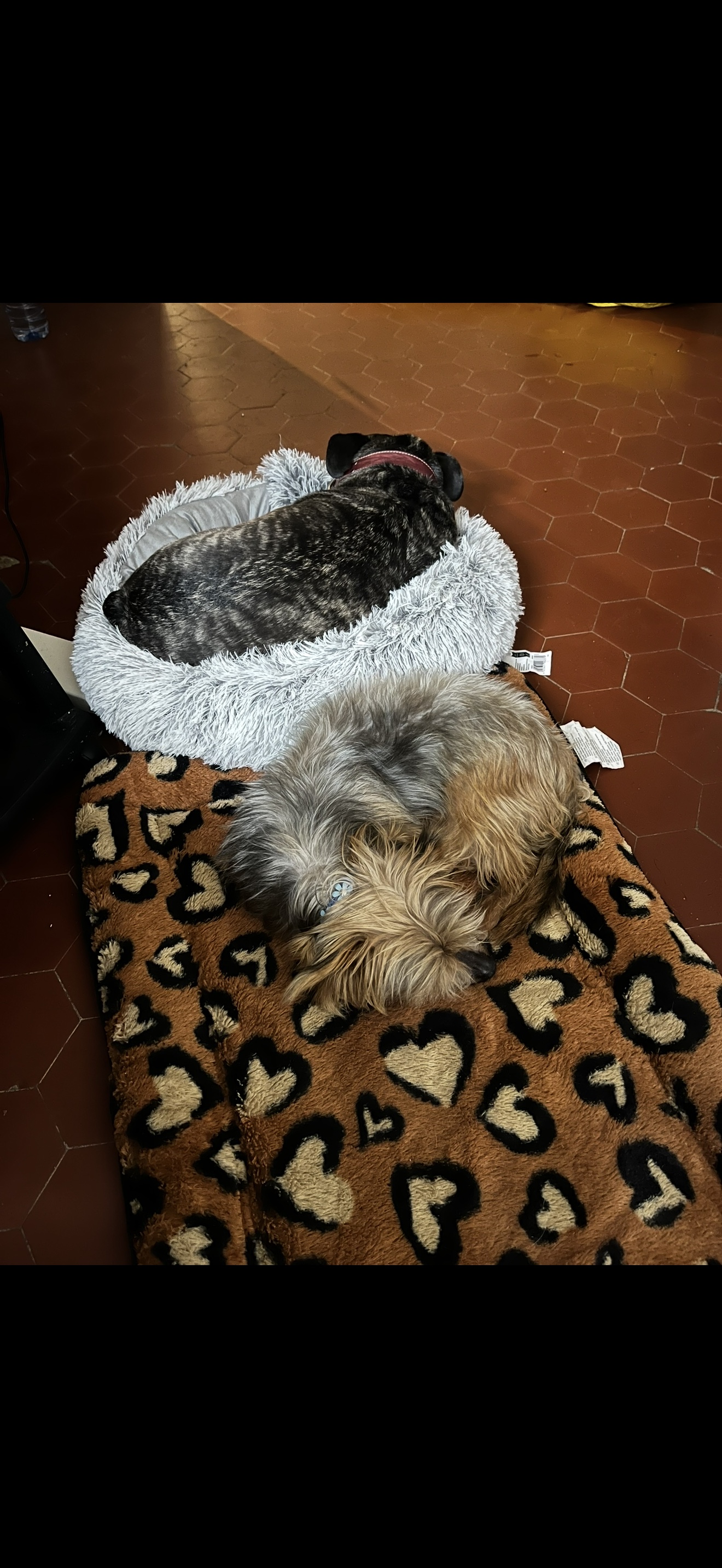 image-18