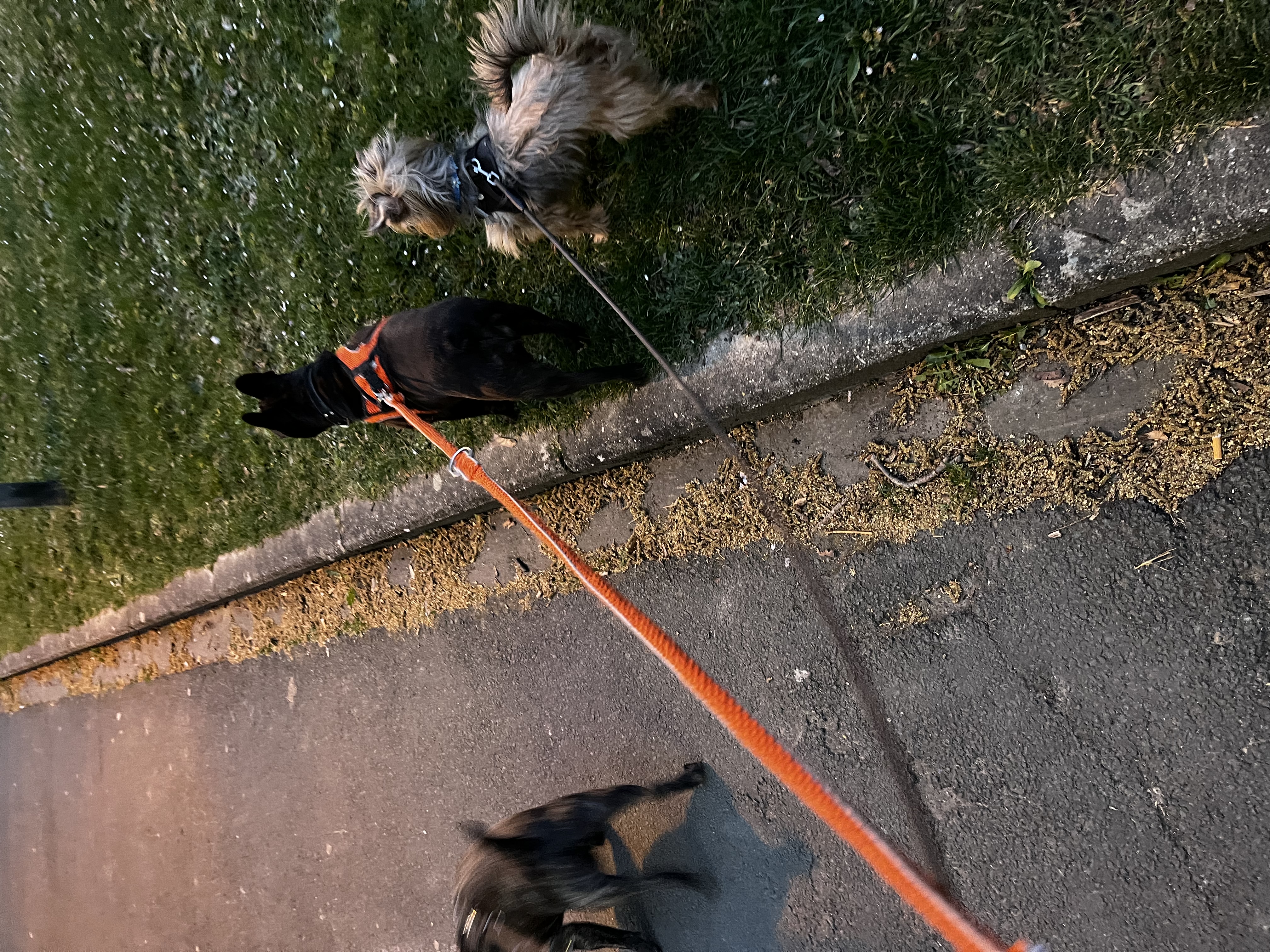 image-6