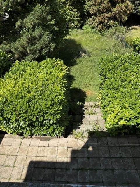 image-27
