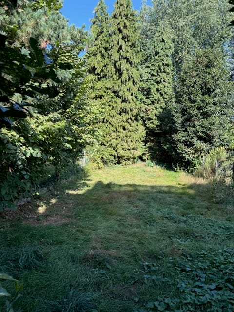 image-30