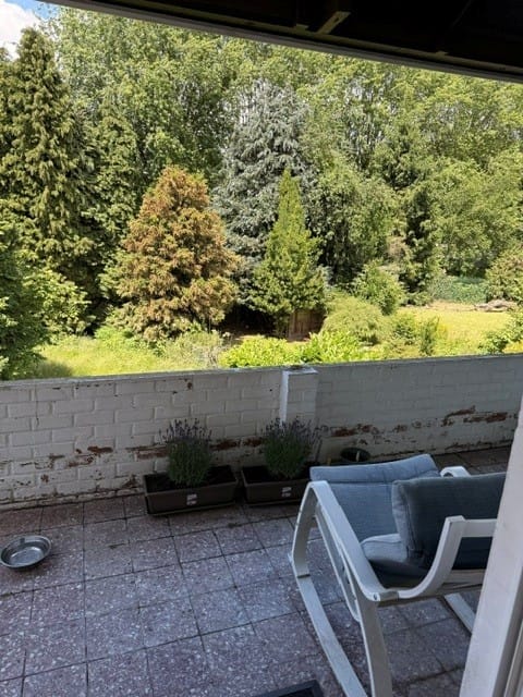 image-26