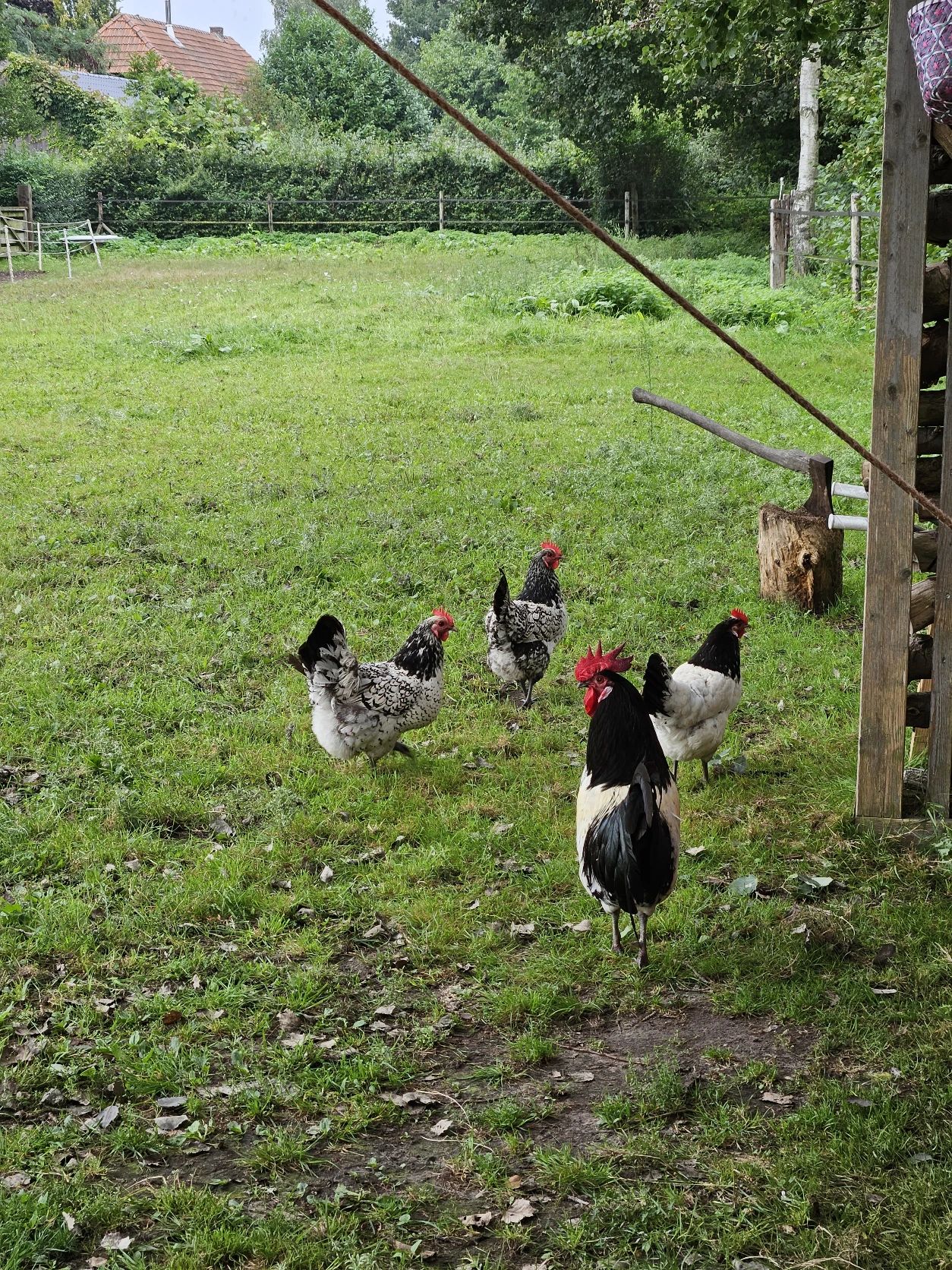 image-13
