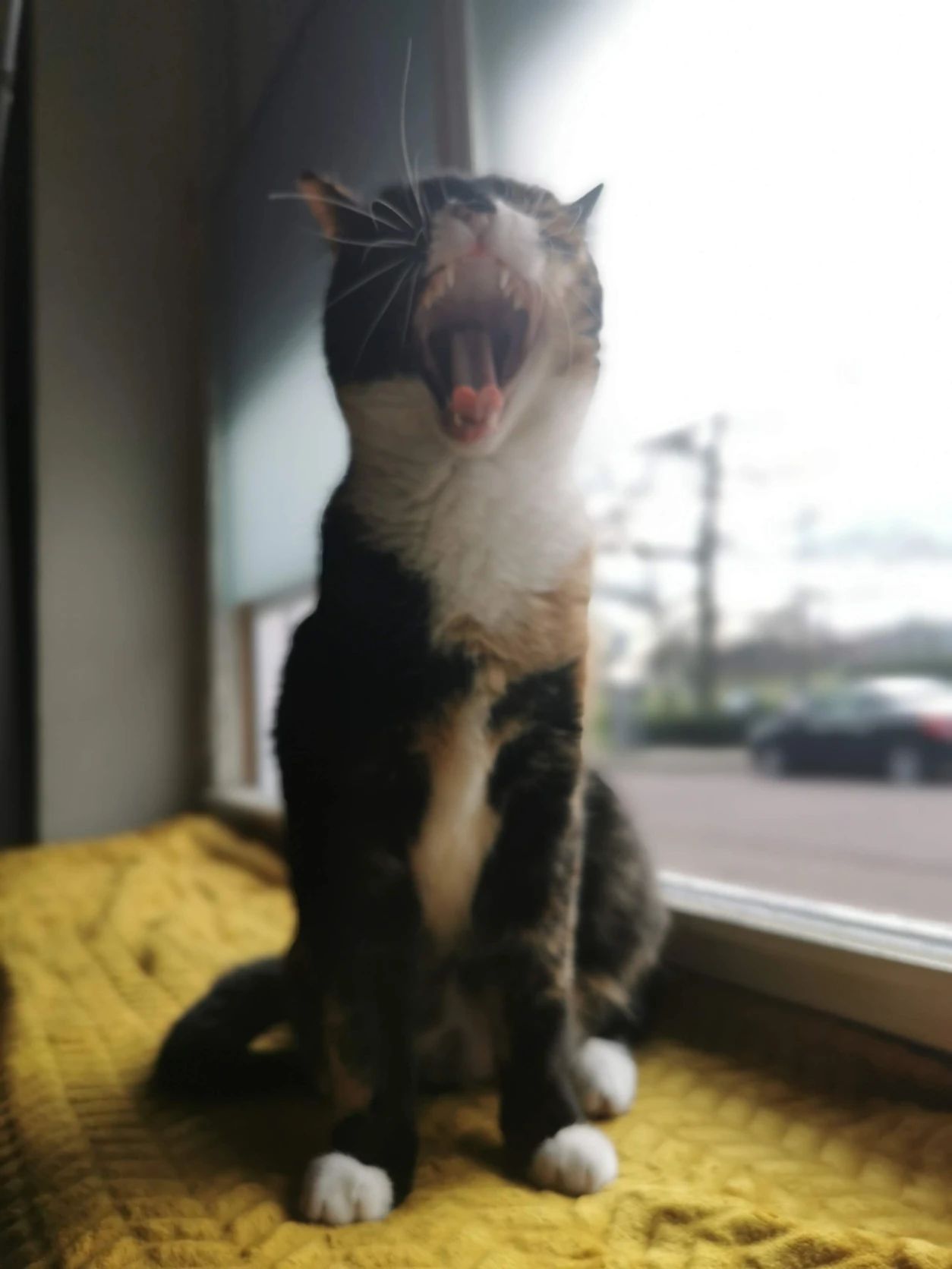 image-15