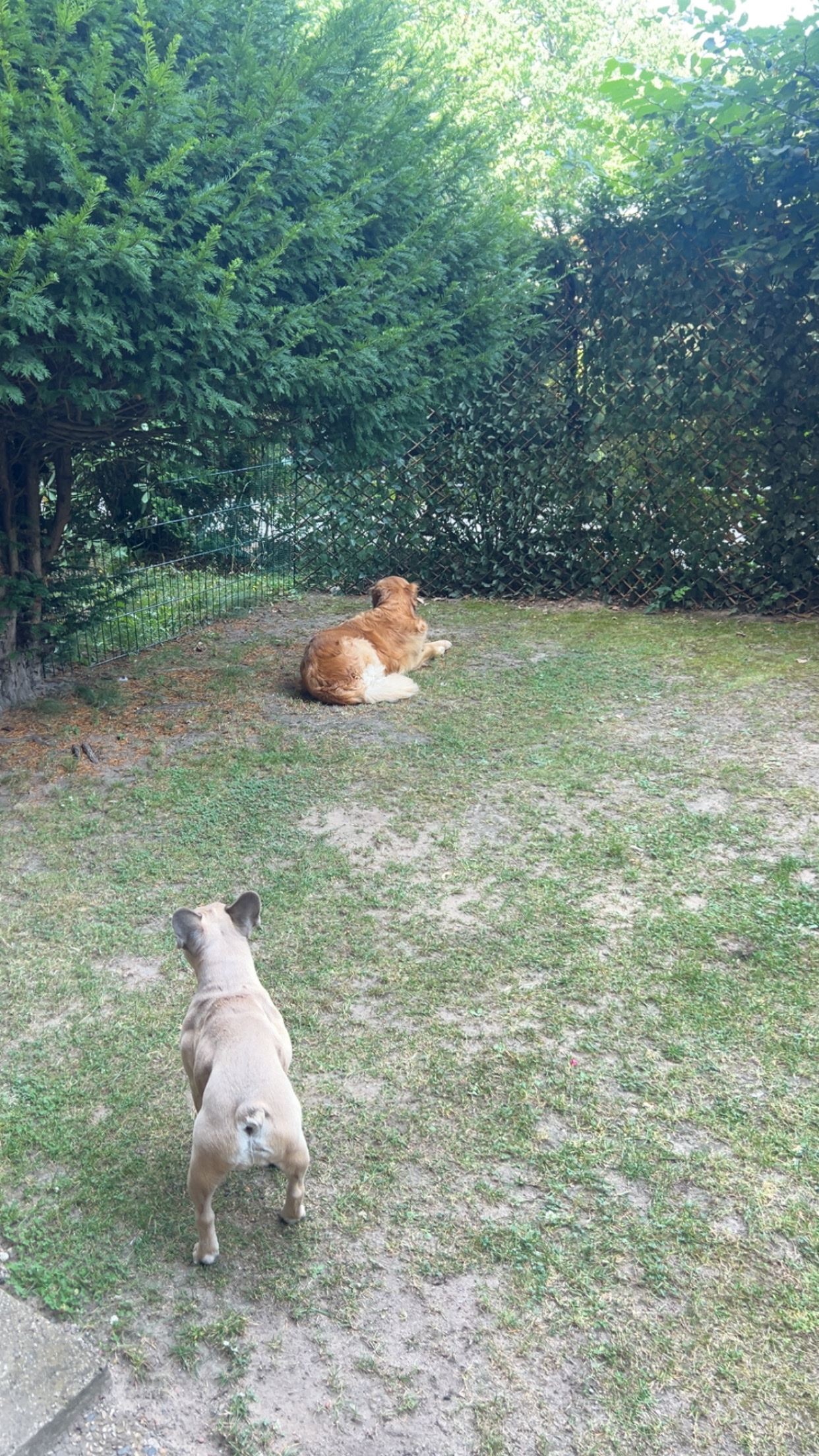 image-16