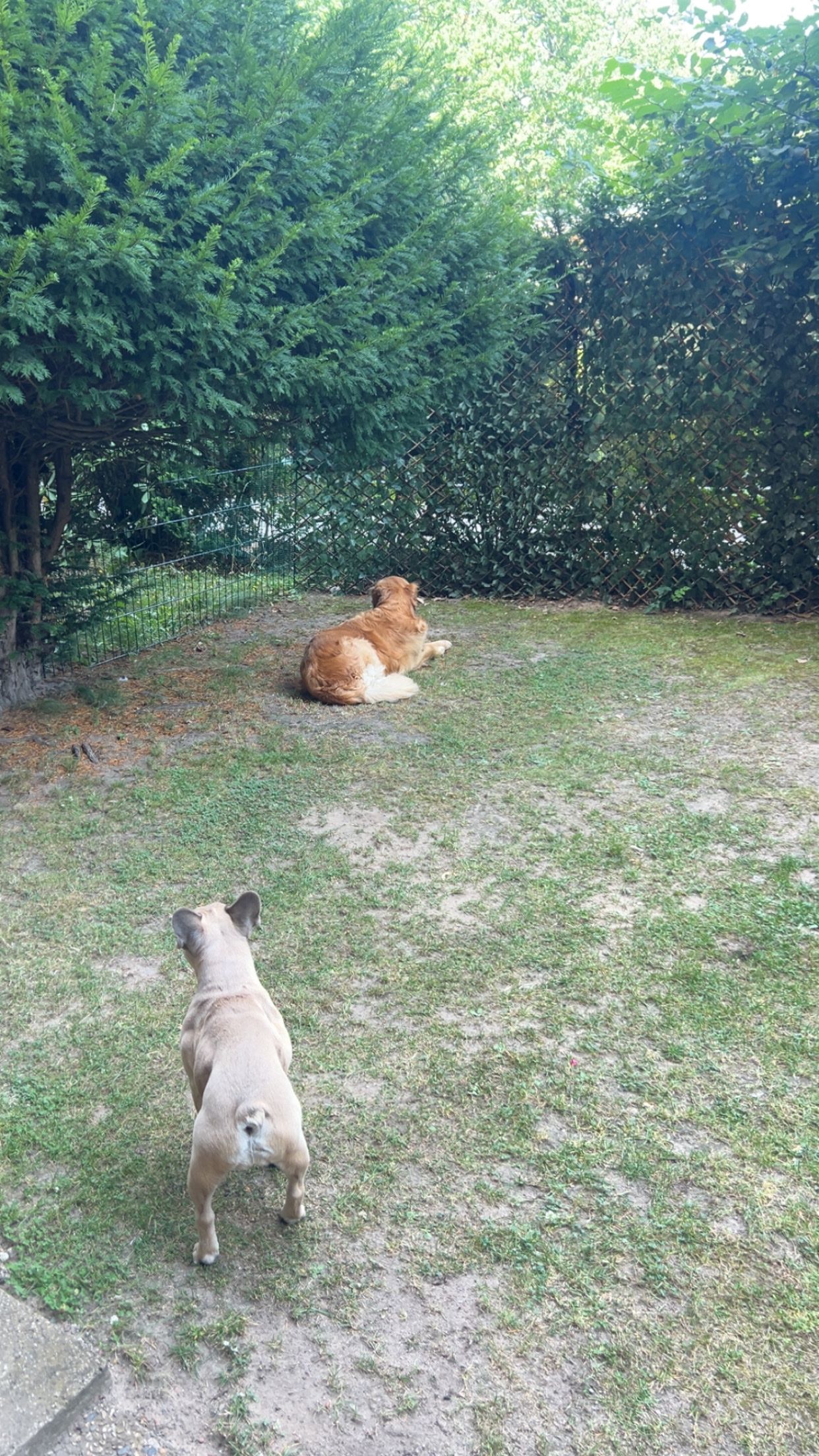 image-16