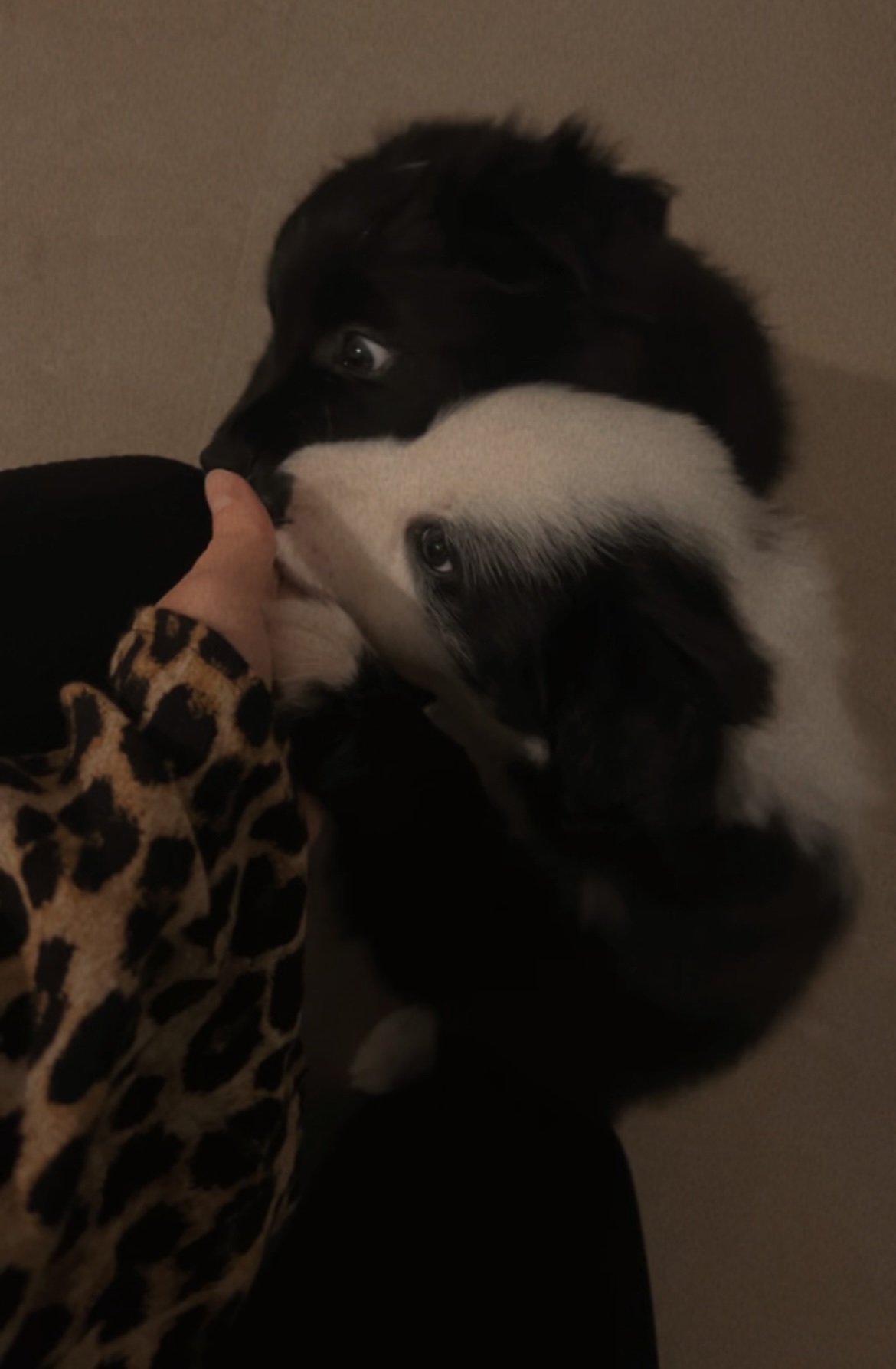 image-6