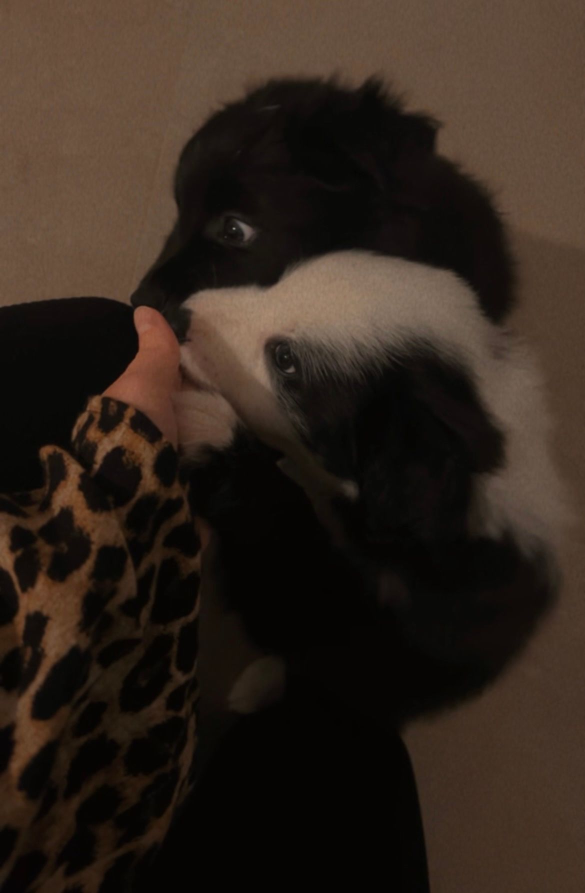 image-6