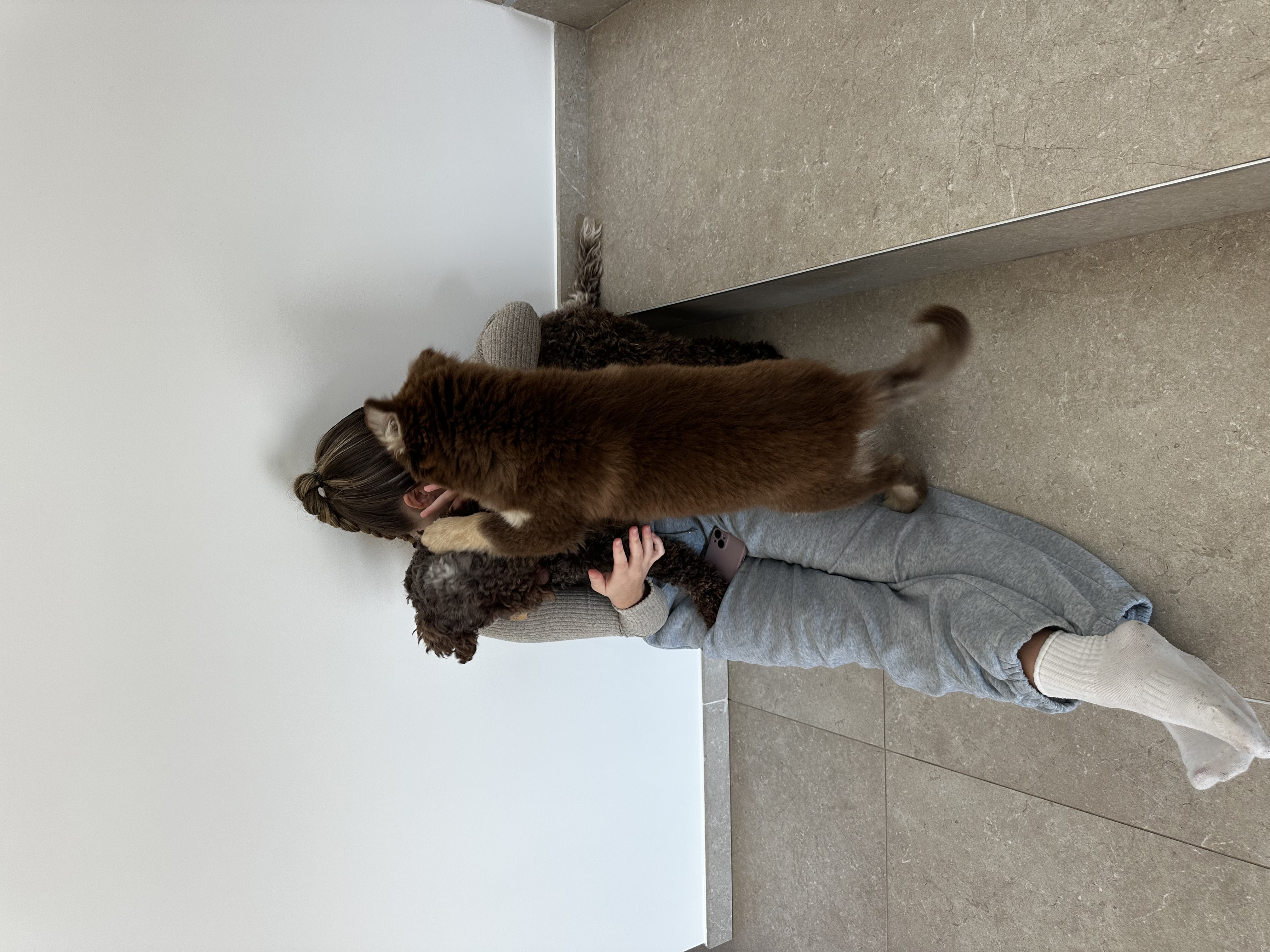 image-9