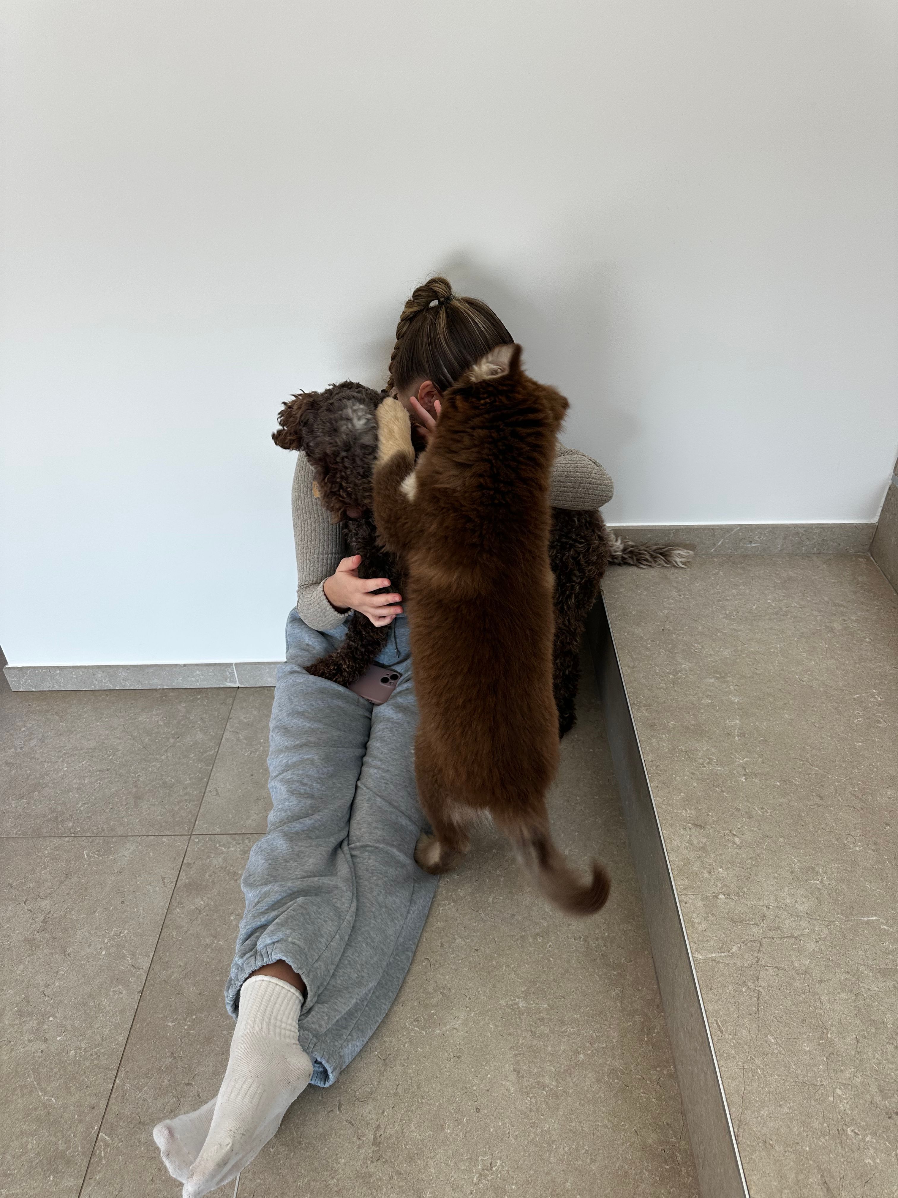 image-9