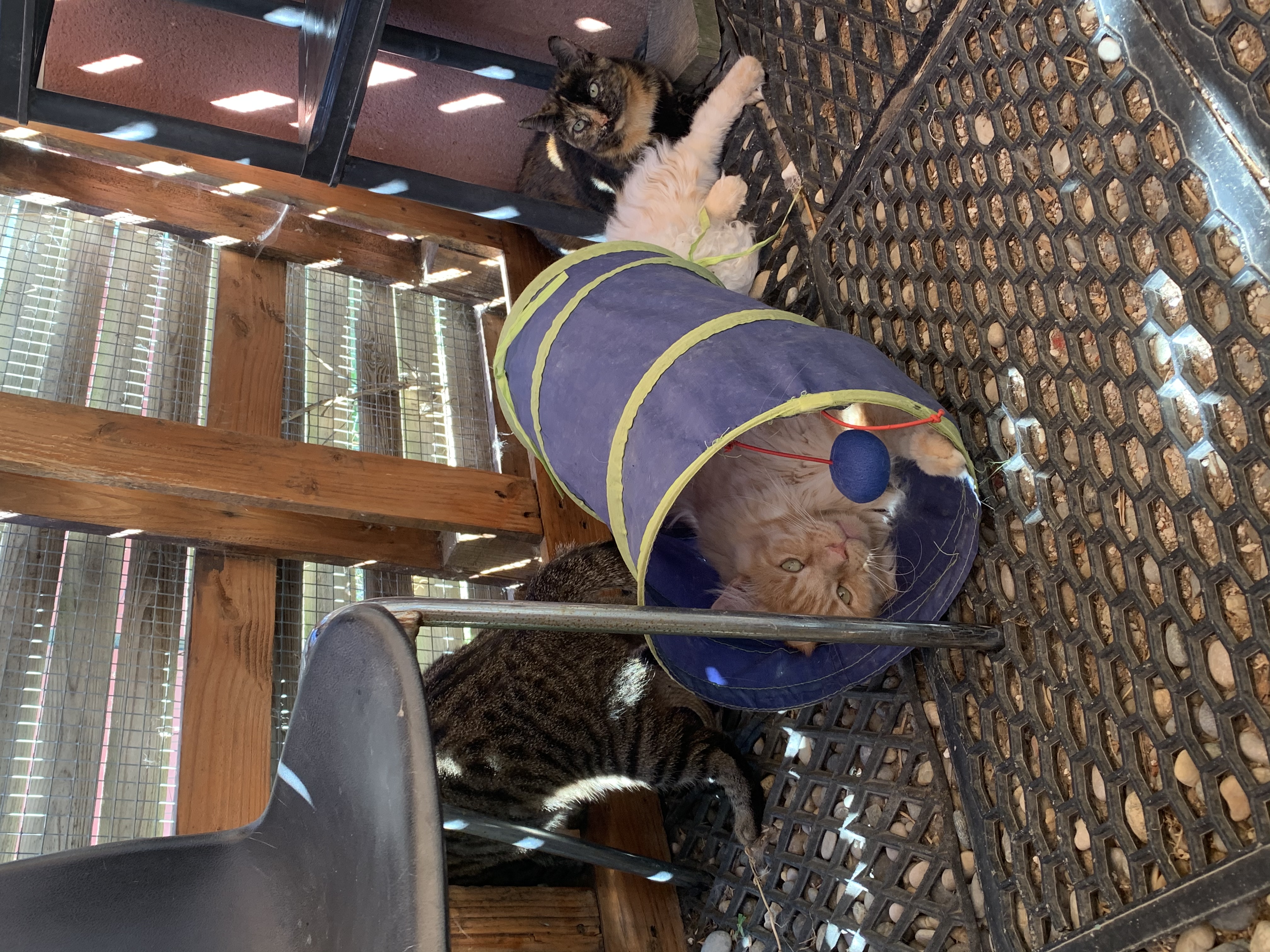 image-5