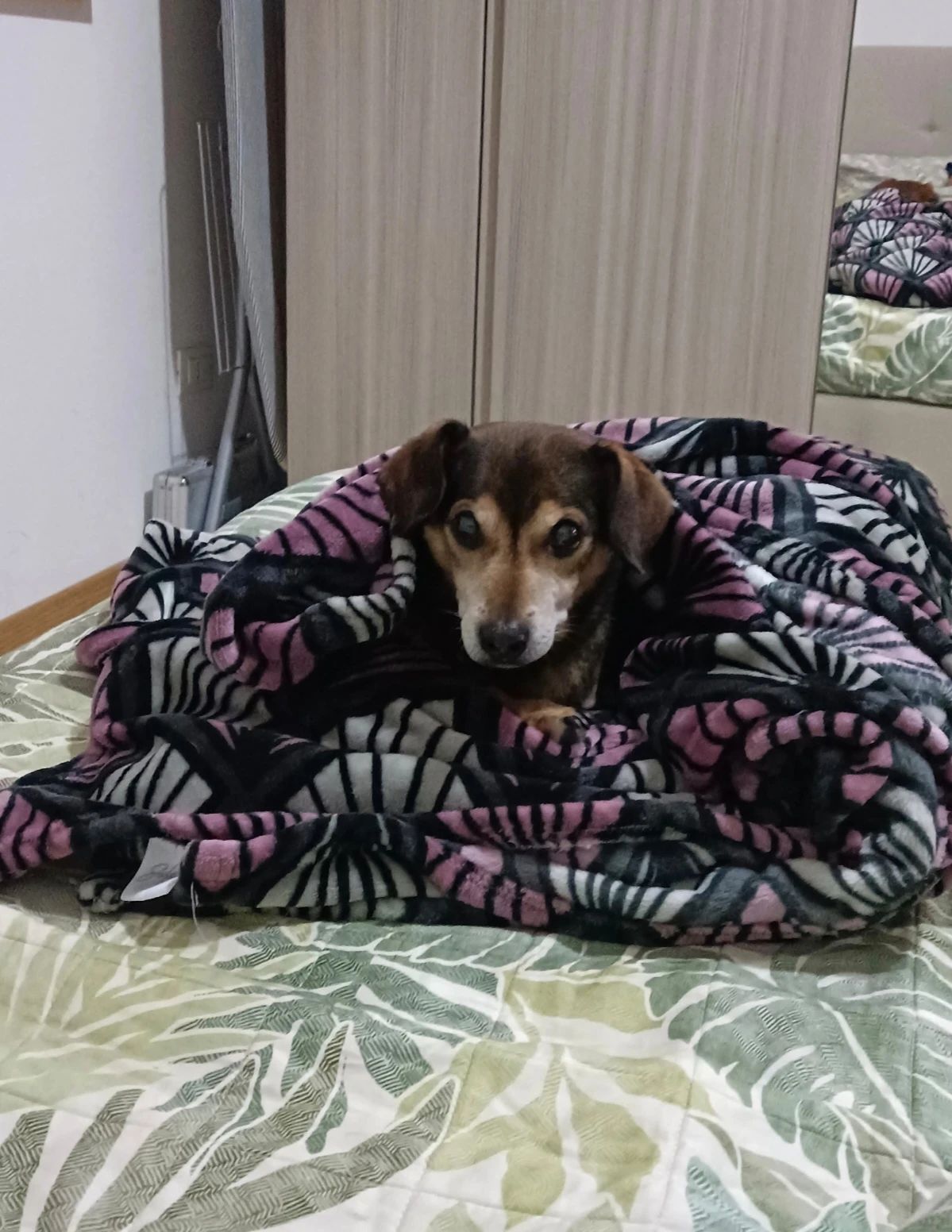 image-7