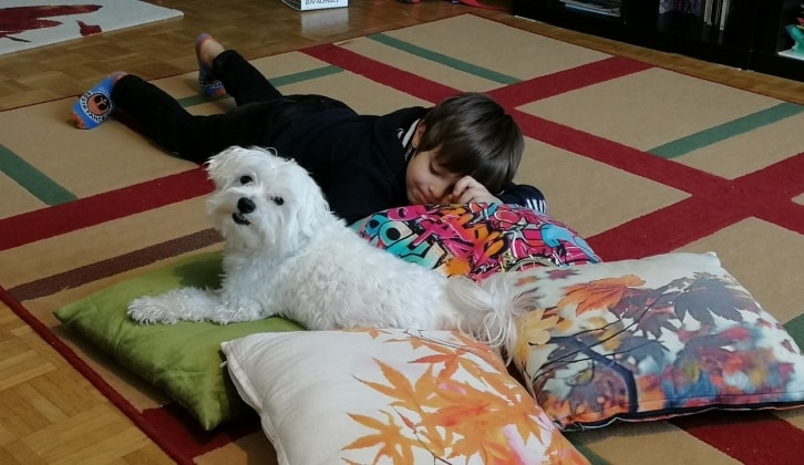 image-10