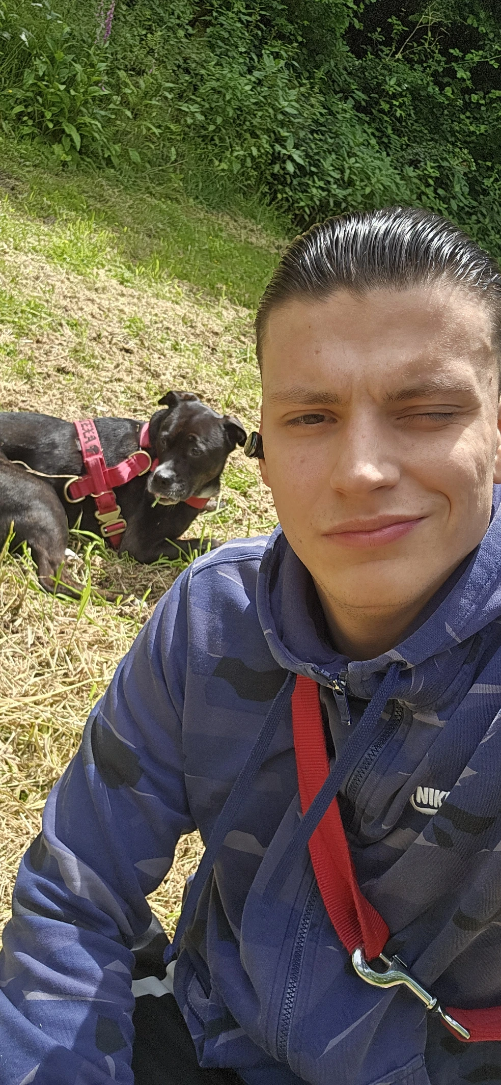 image-17