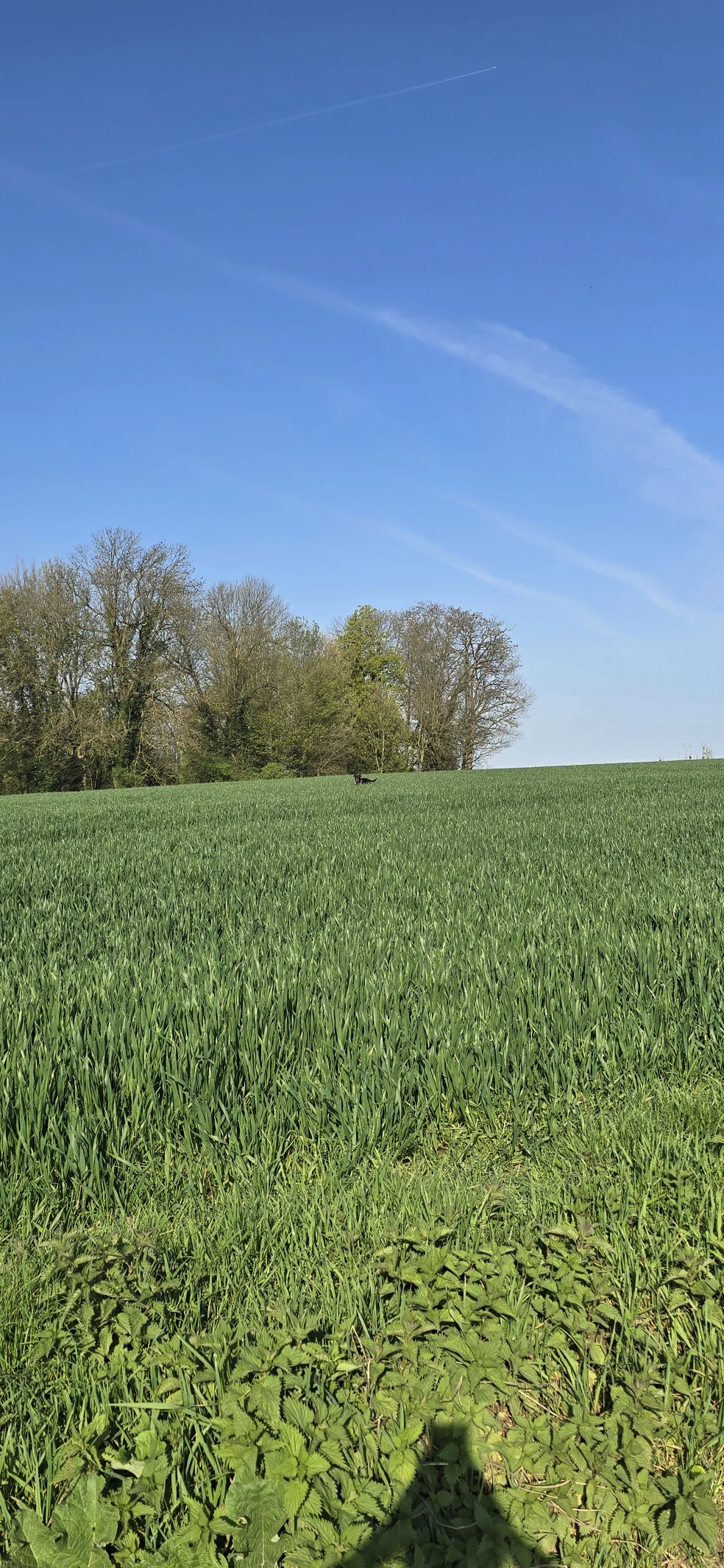 image-15