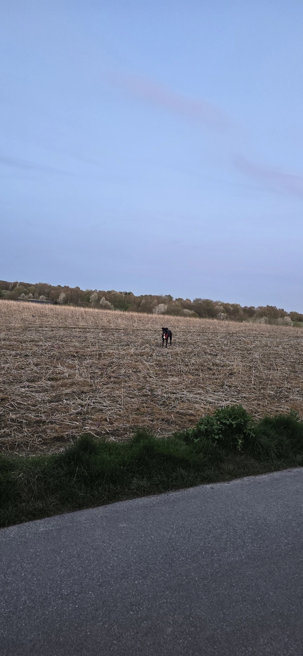 image-16