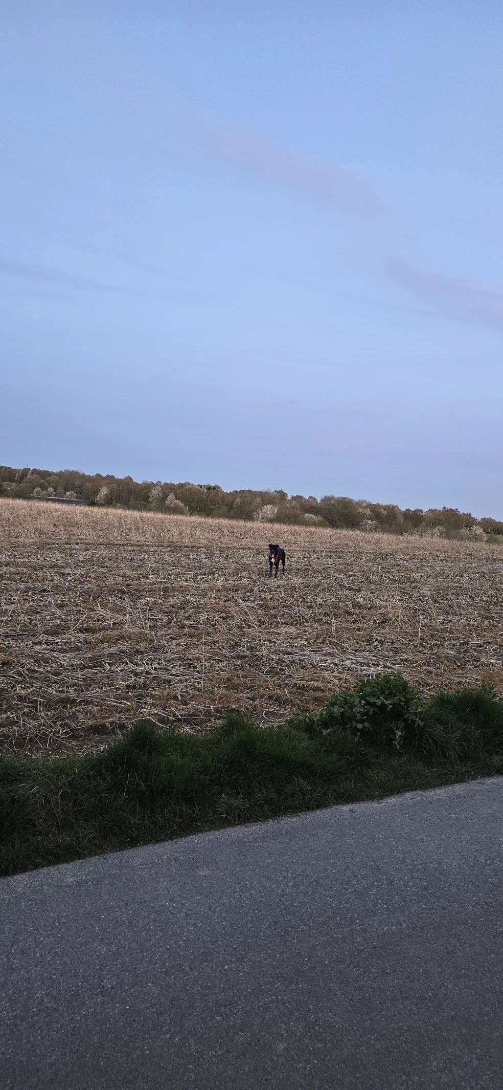 image-16