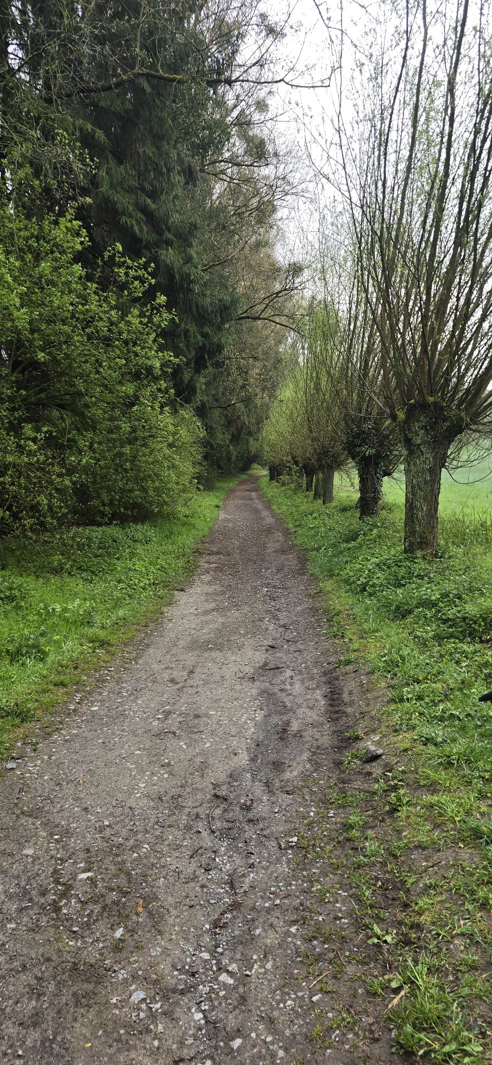 image-14
