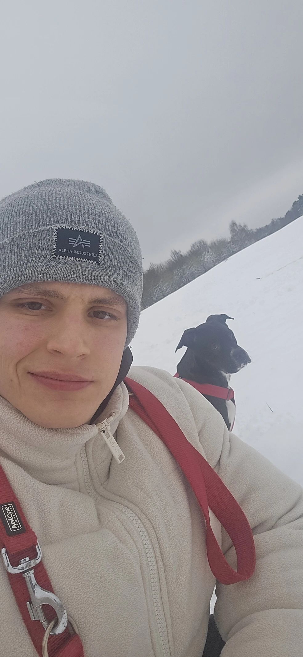 image-6