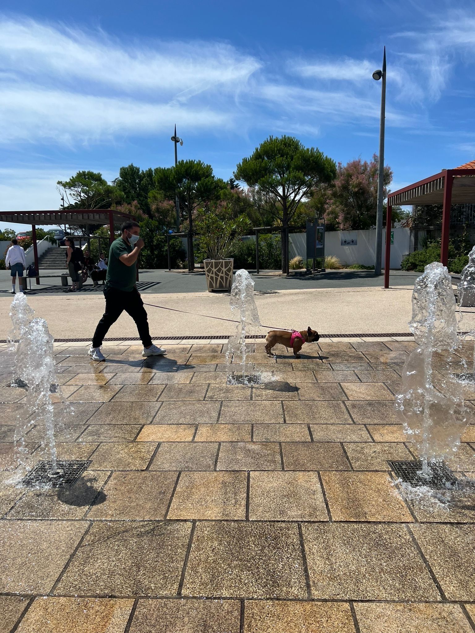 image-14