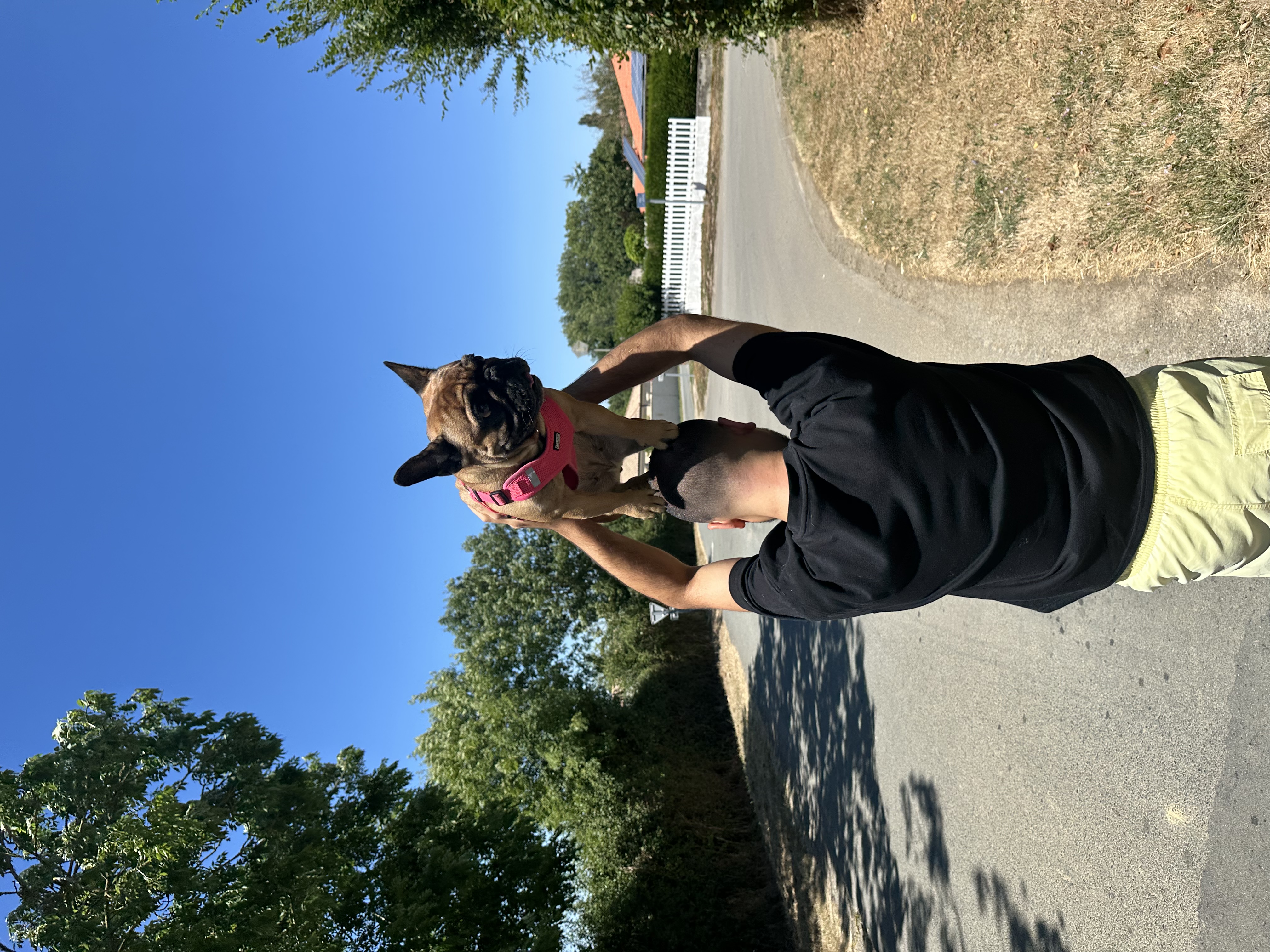 image-7
