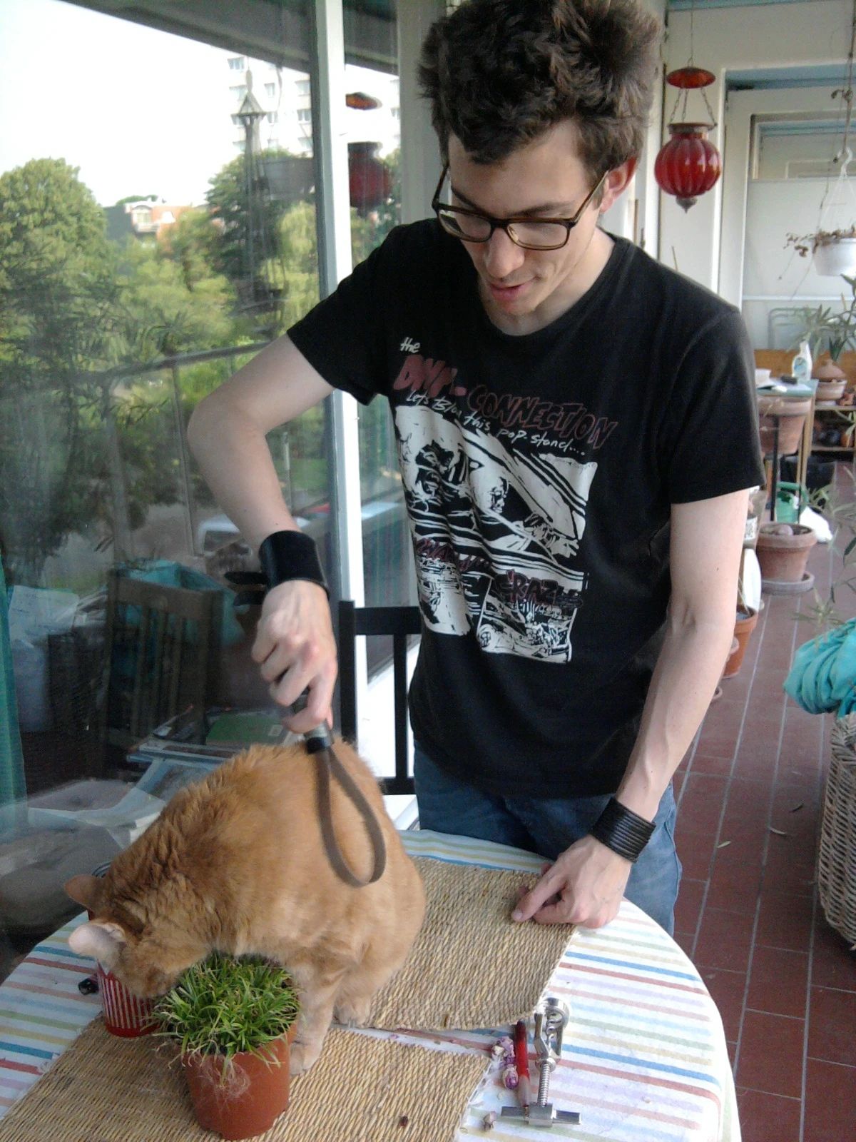 image-5