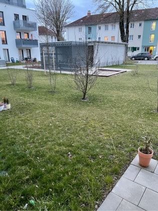 image-0