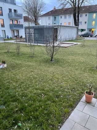 image-0