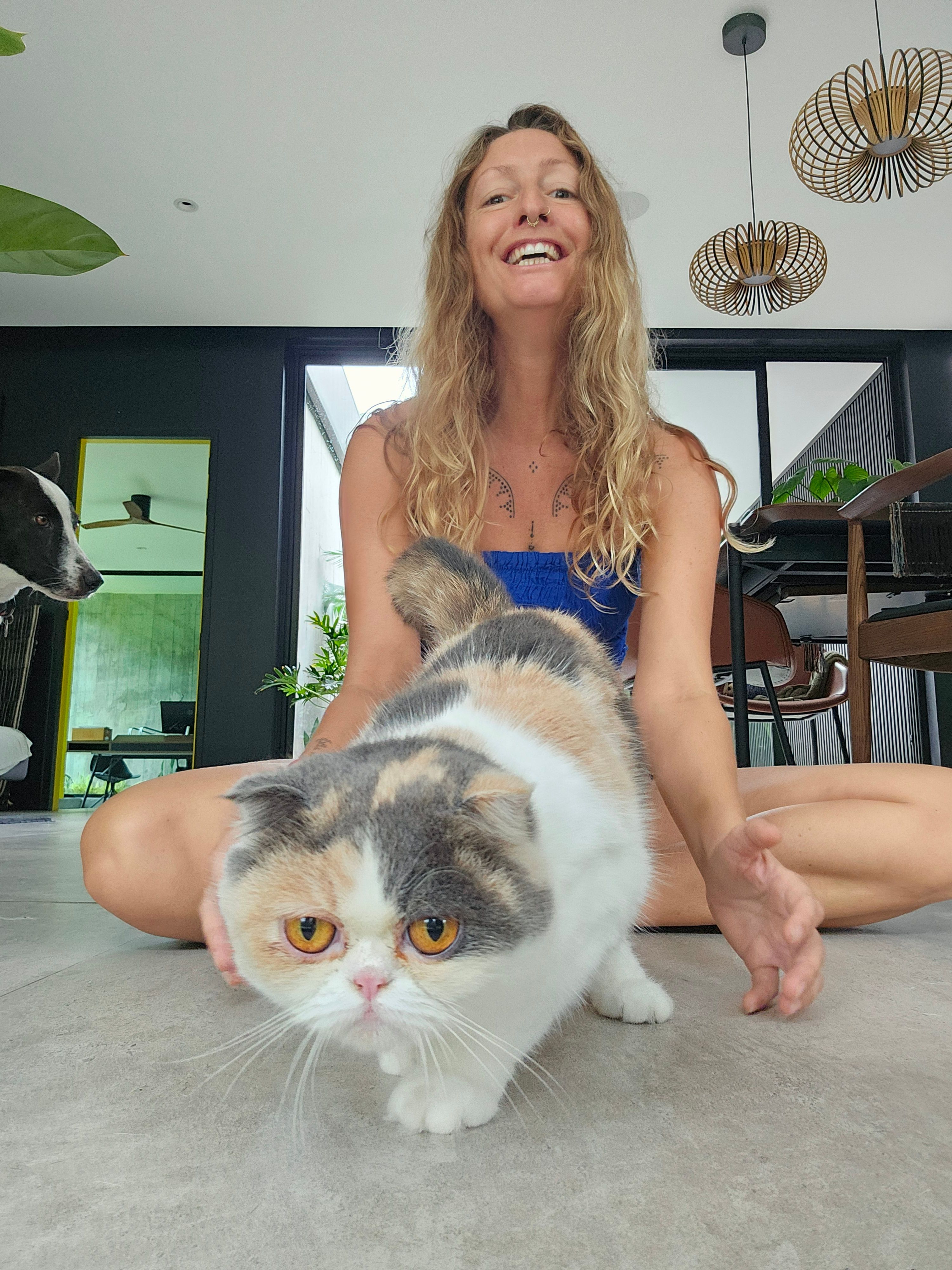 image-2