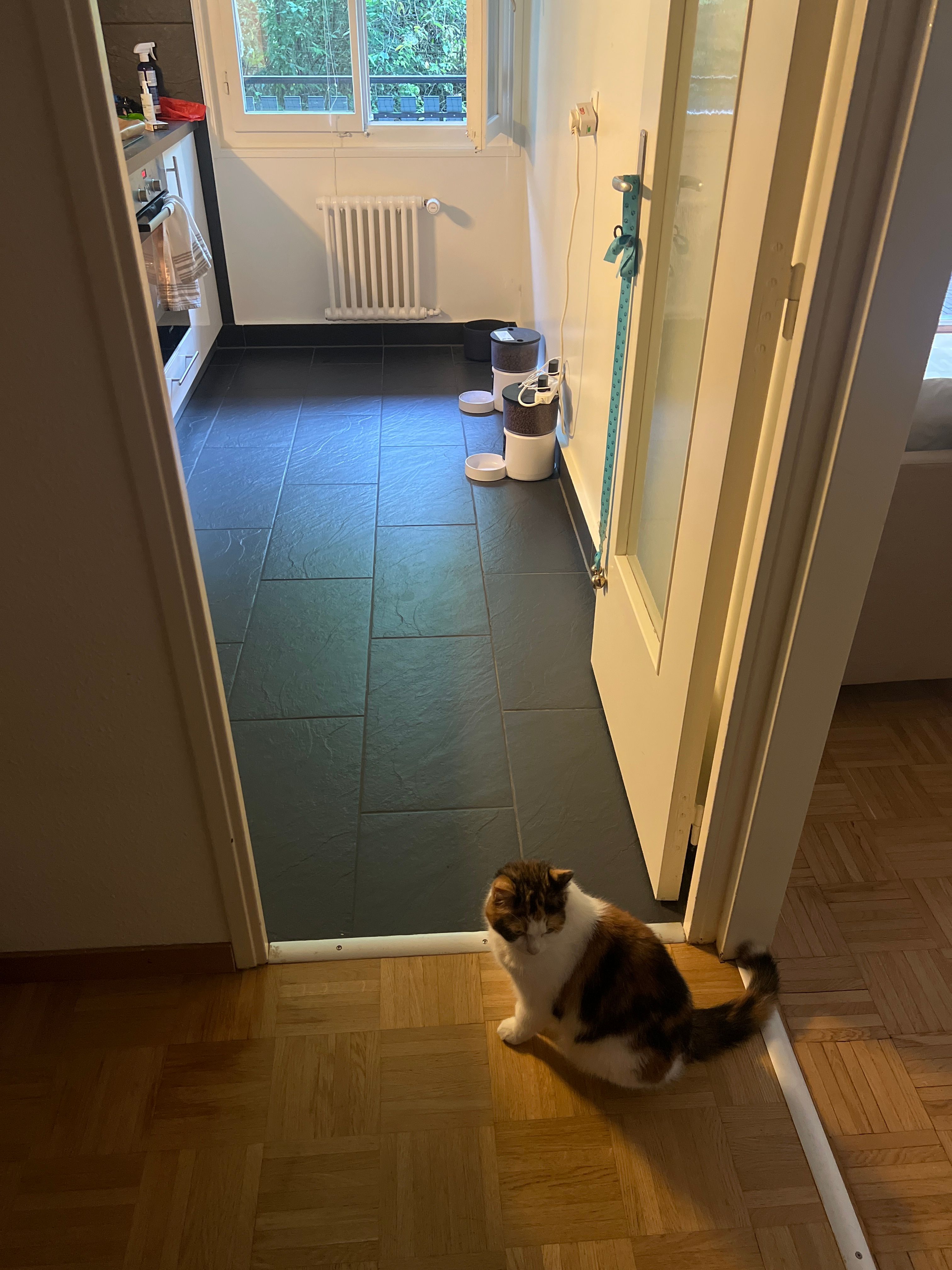 image-25