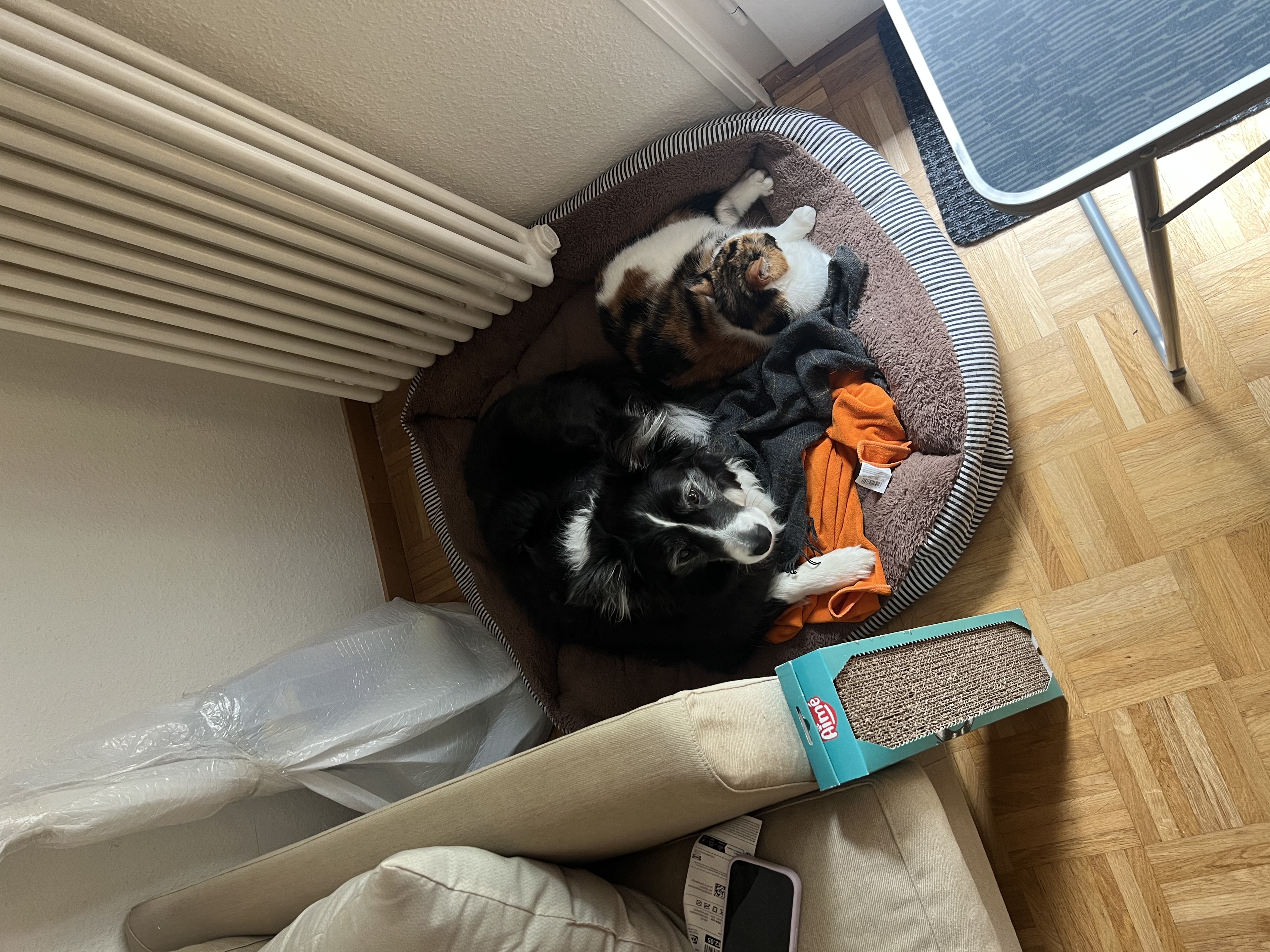 image-7