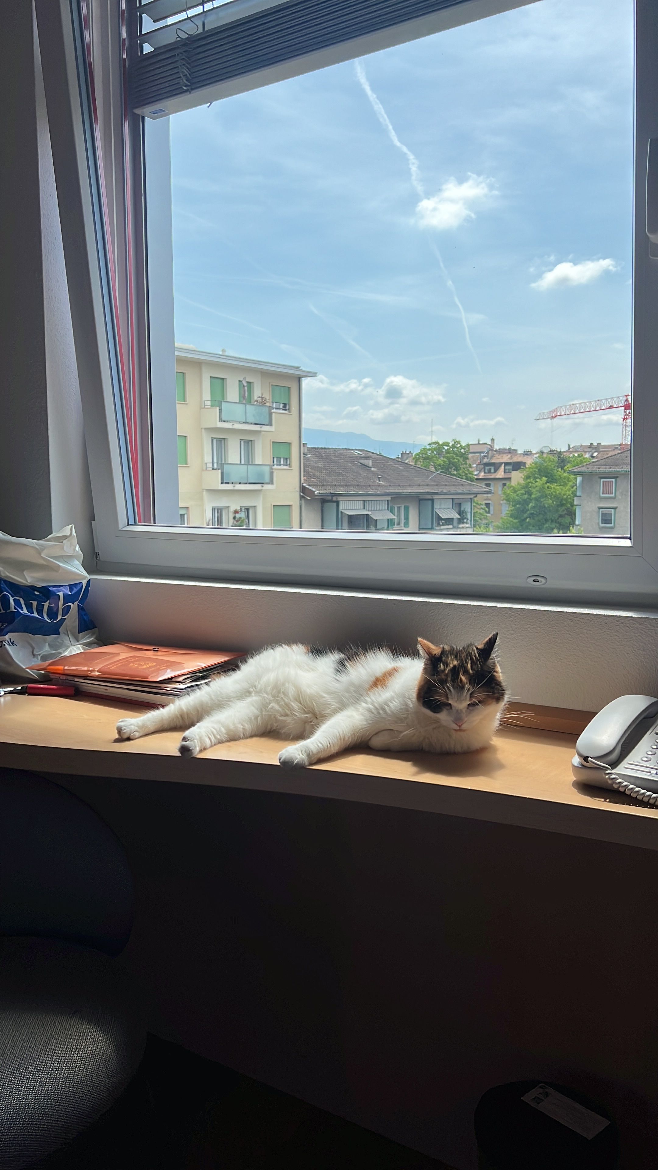 image-6
