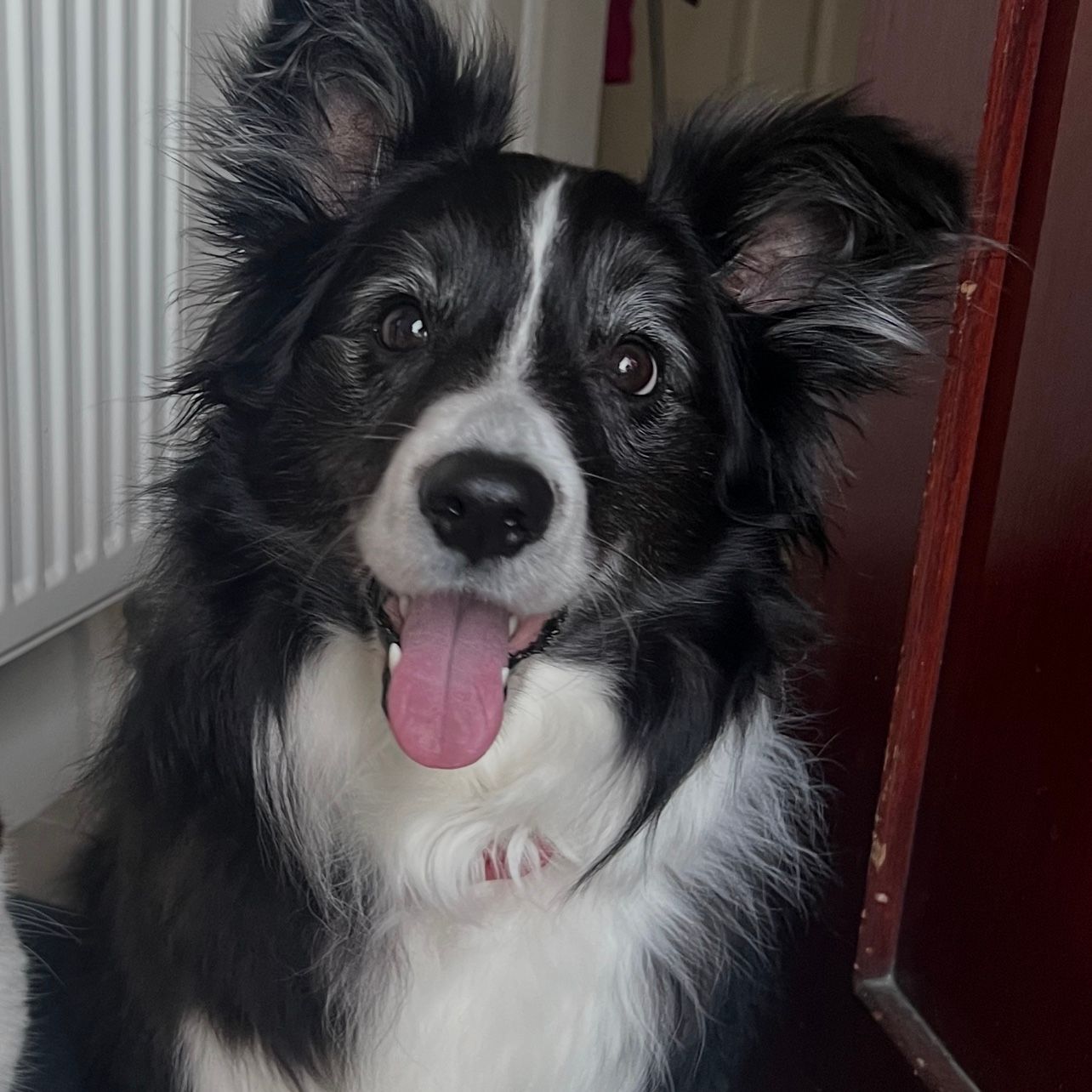 Skye