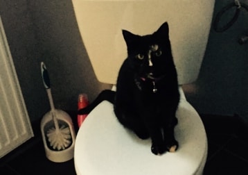 Luna (overleden+)