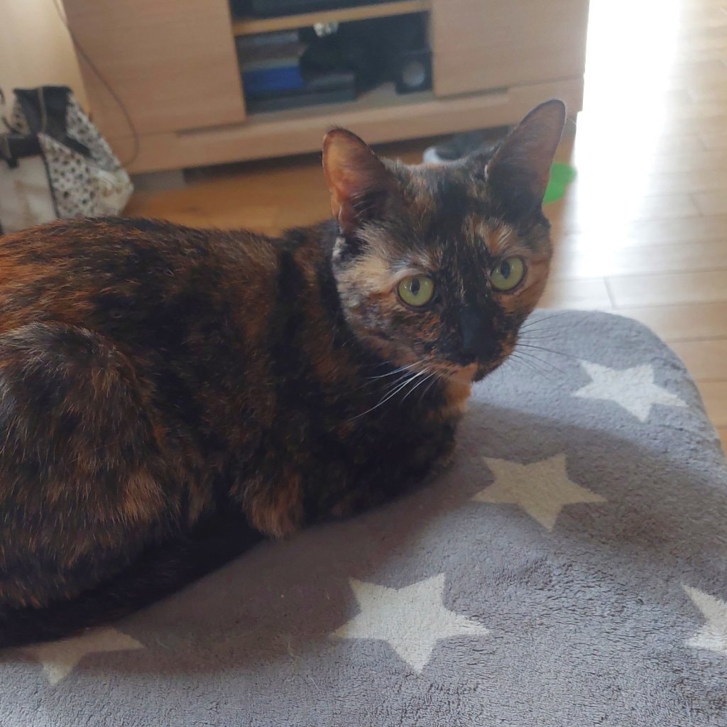 Lila