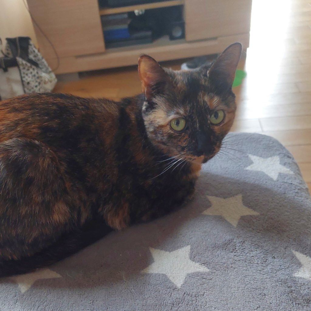 Lila