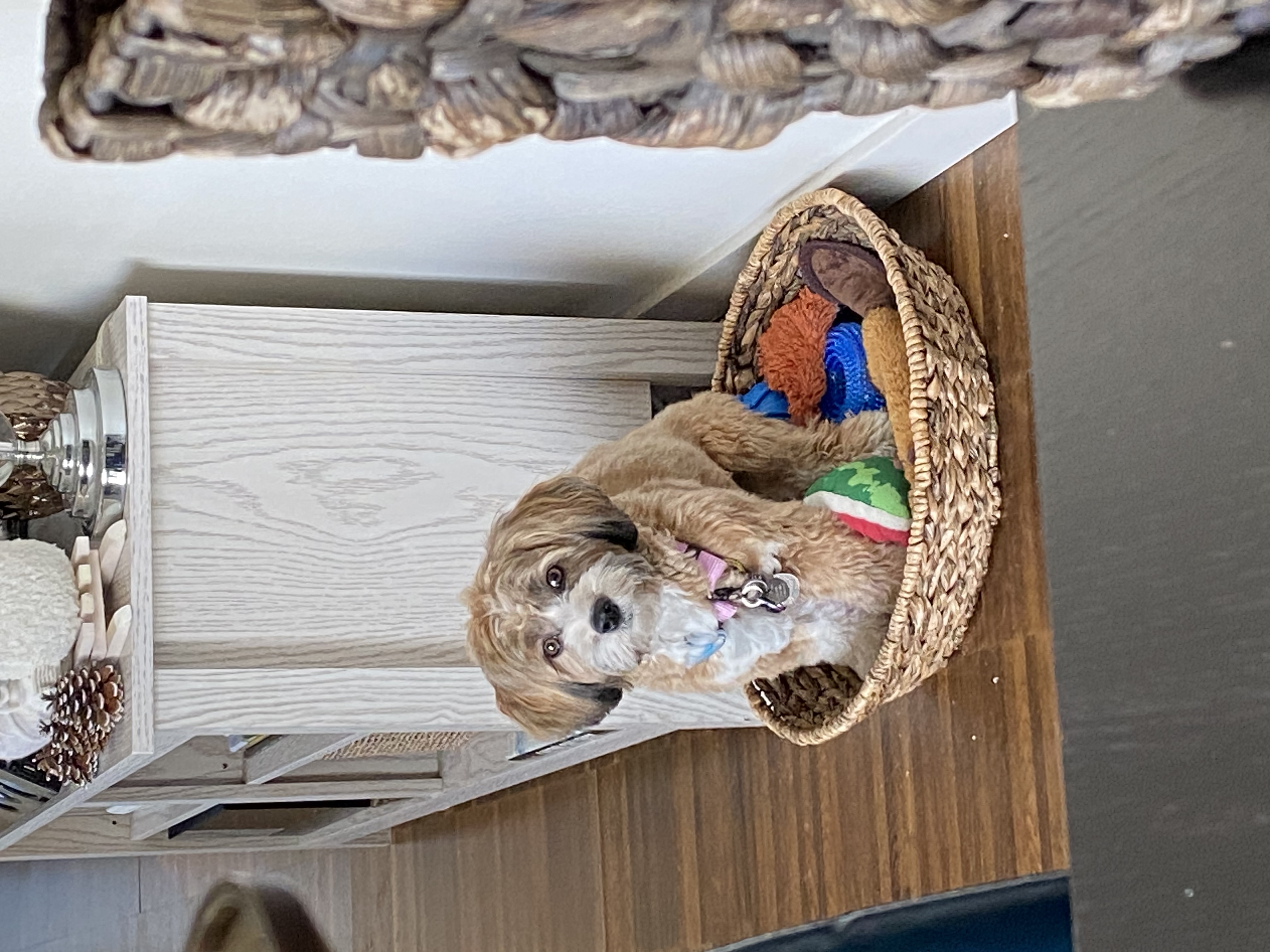 image-17