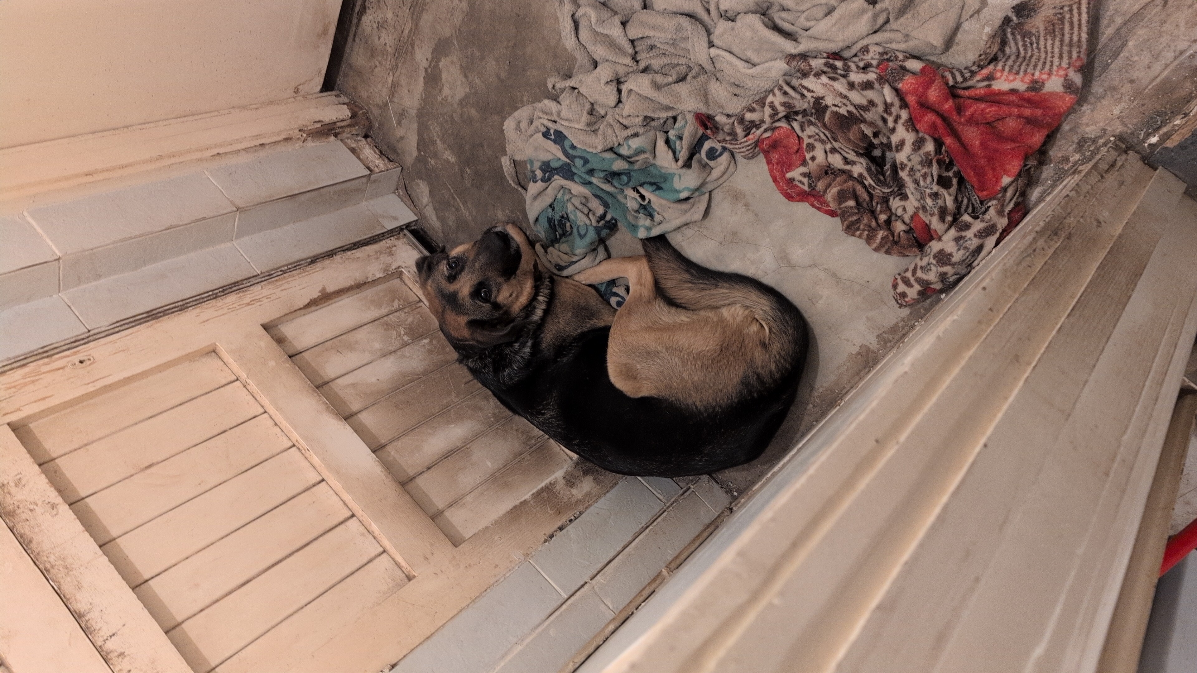 image-8