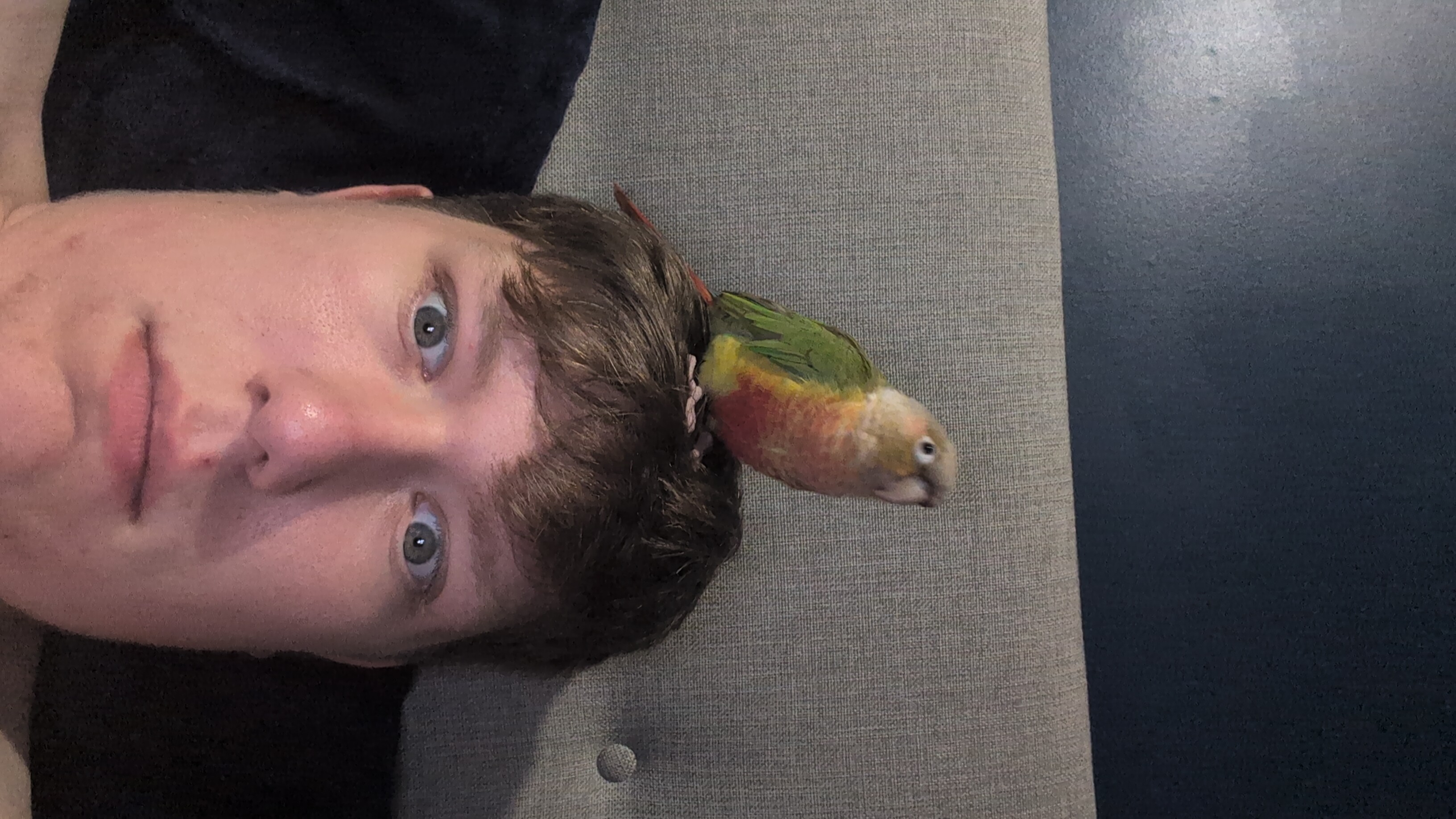 image-10