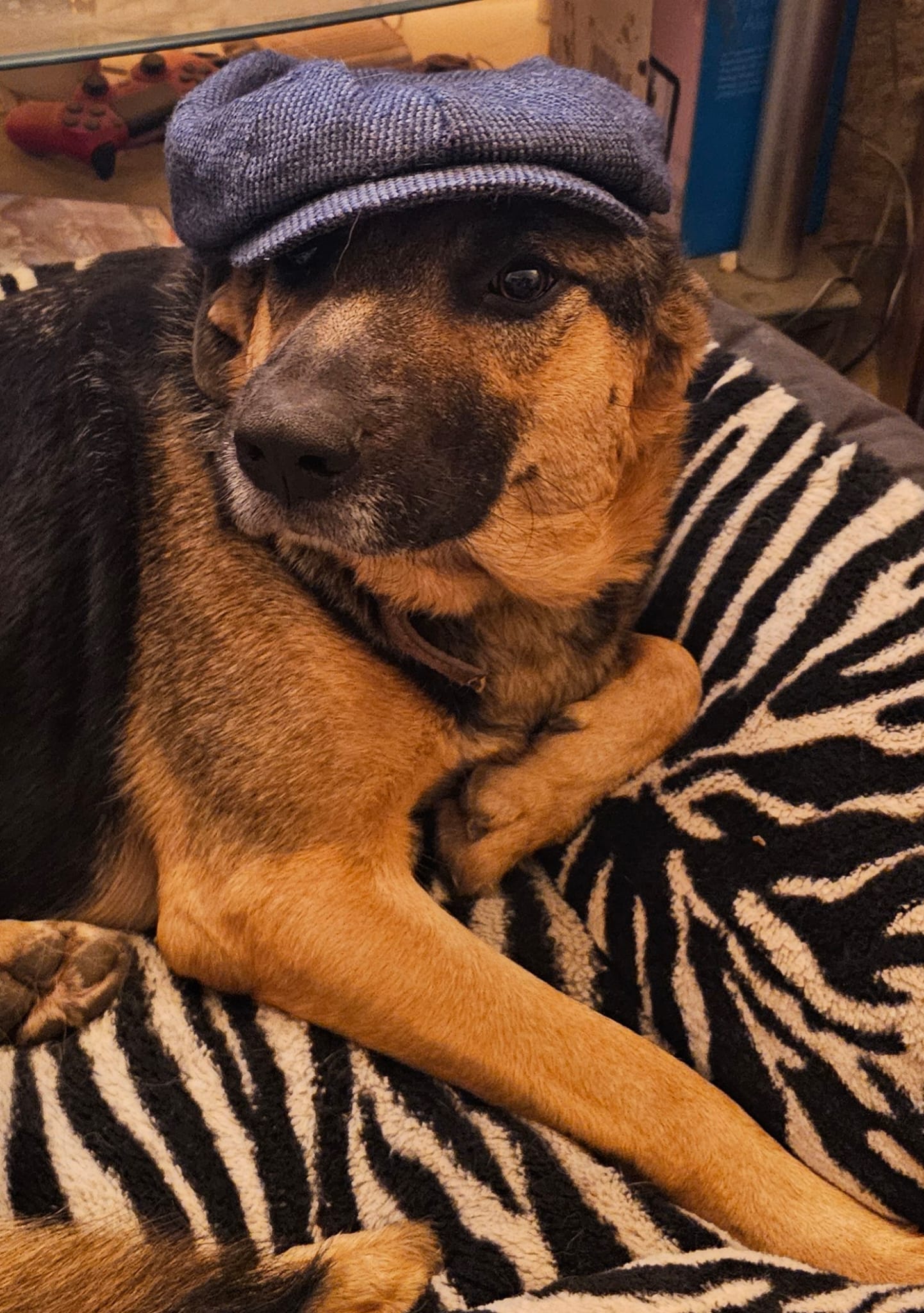 image-6