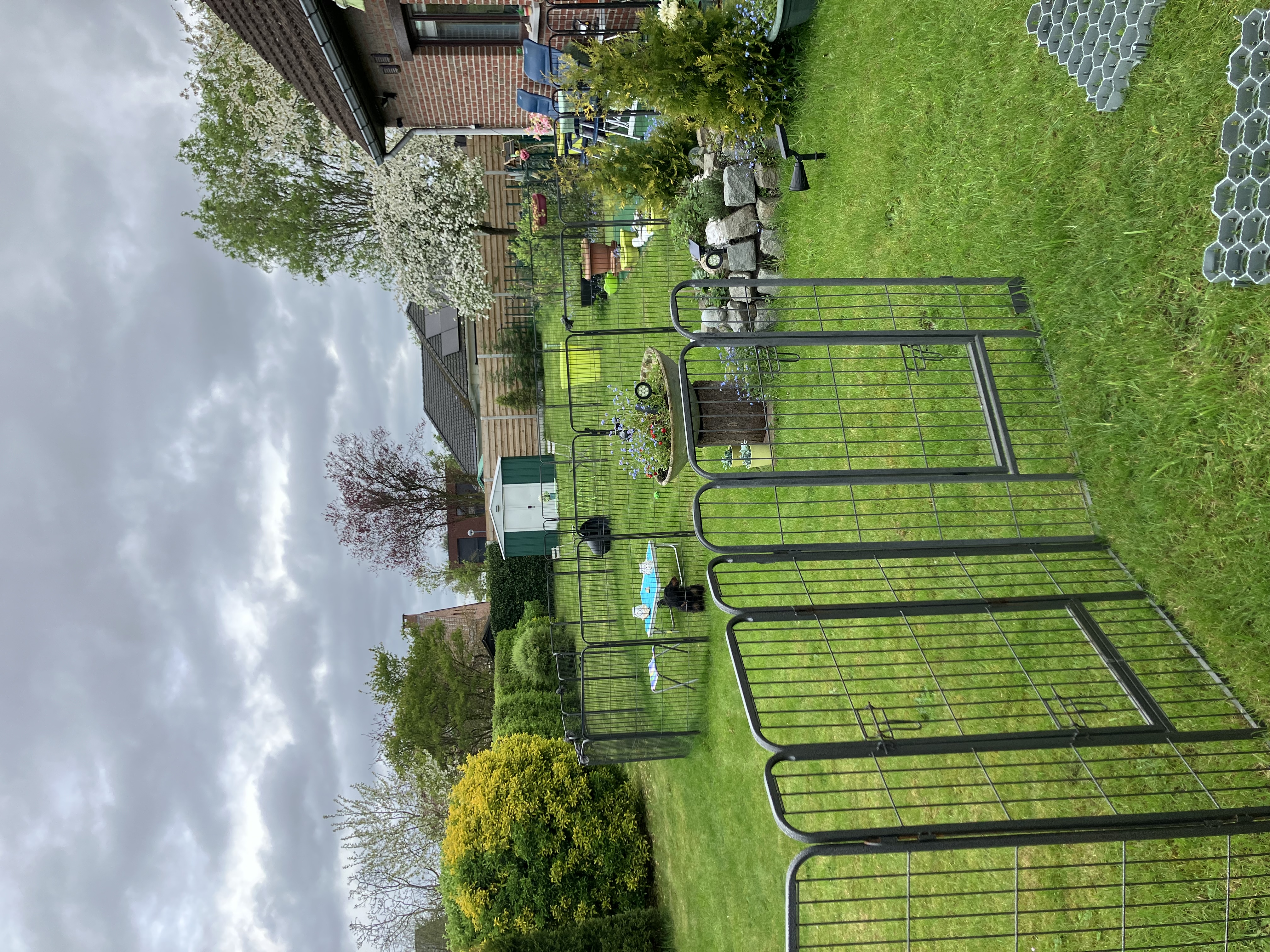 image-5