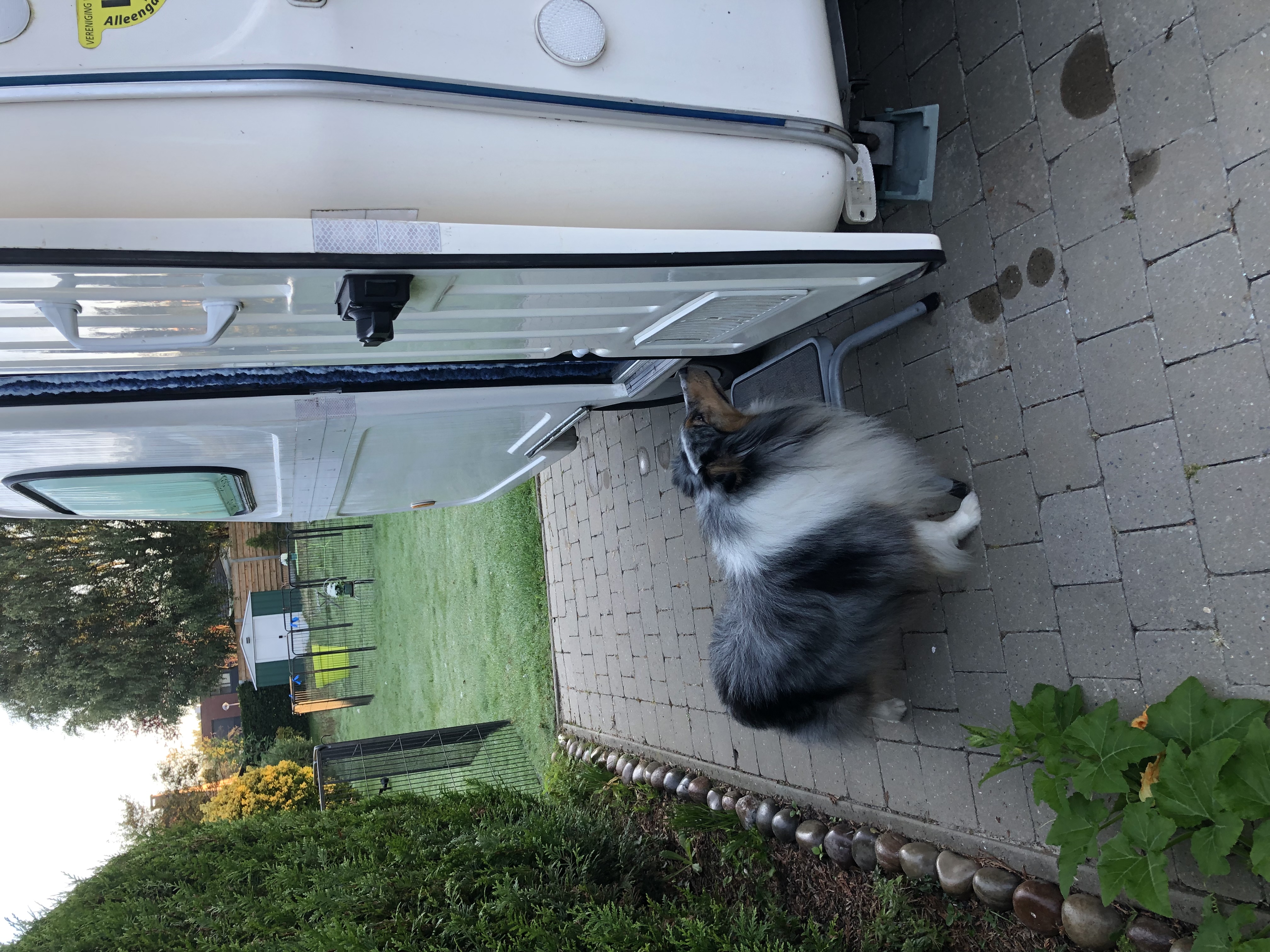image-6