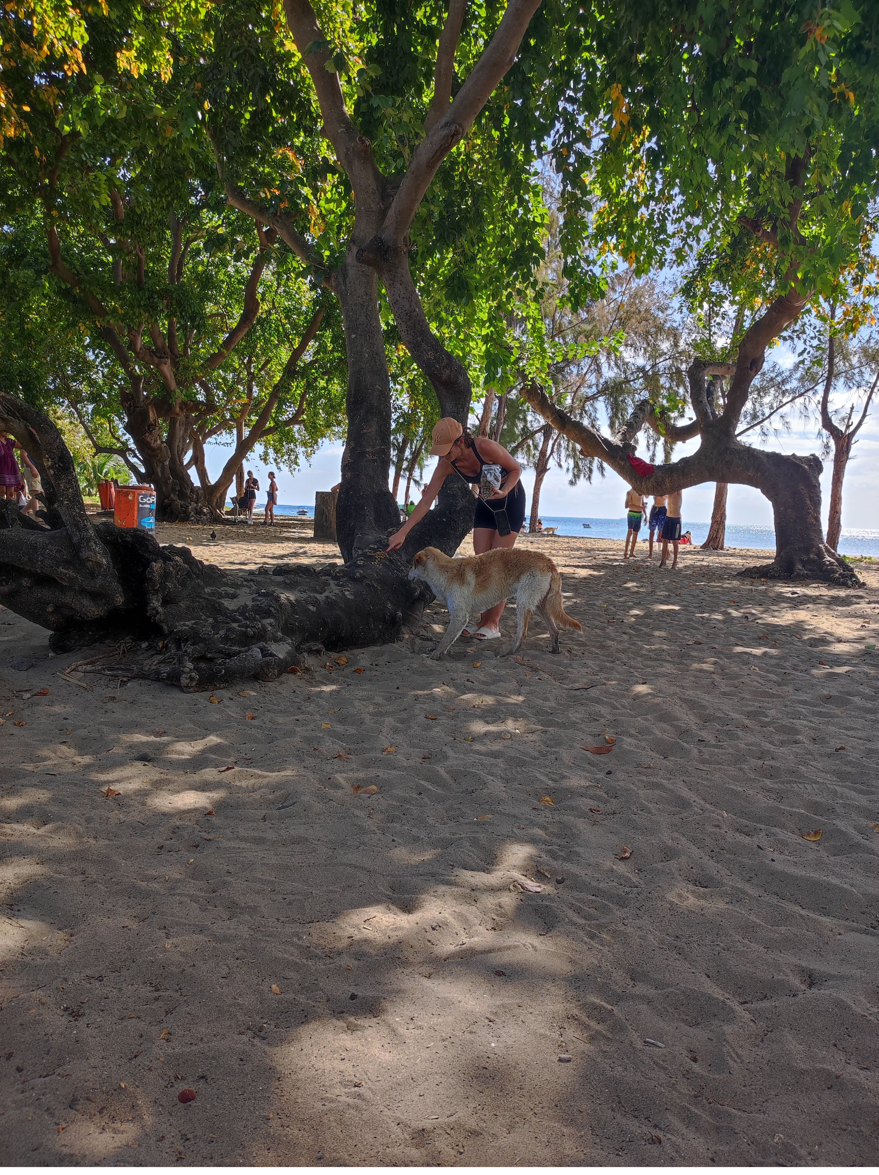 image-9