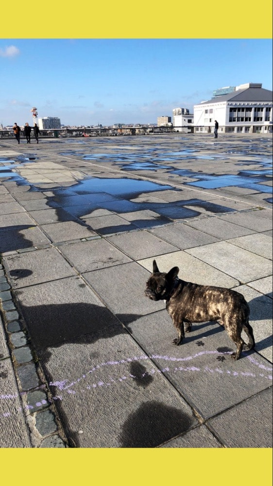 image-11
