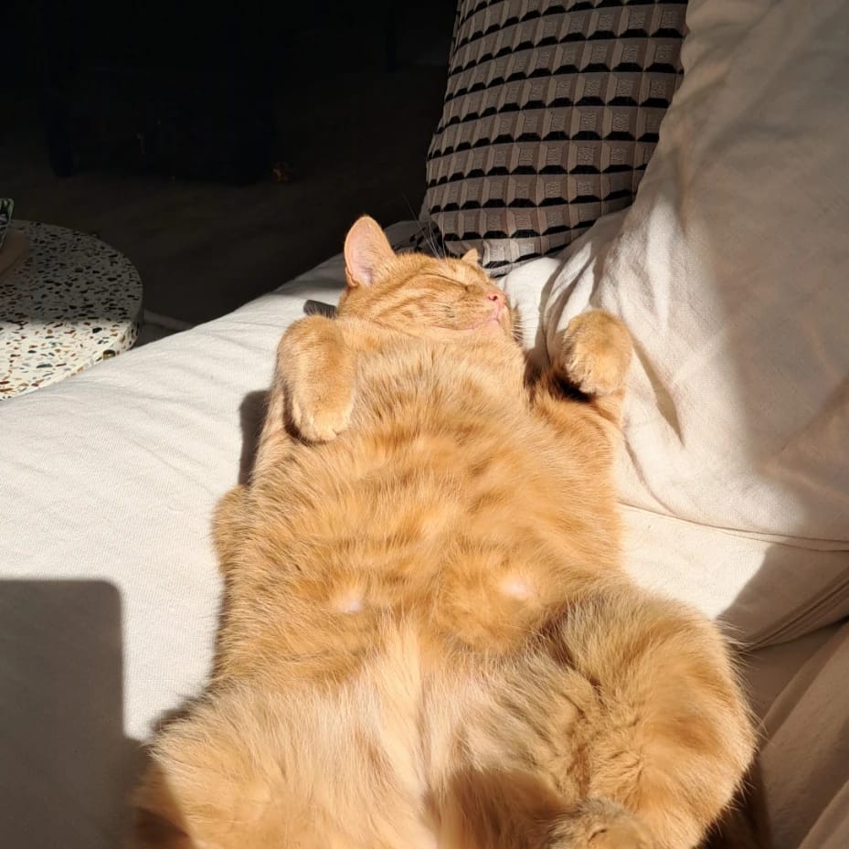 Gaston