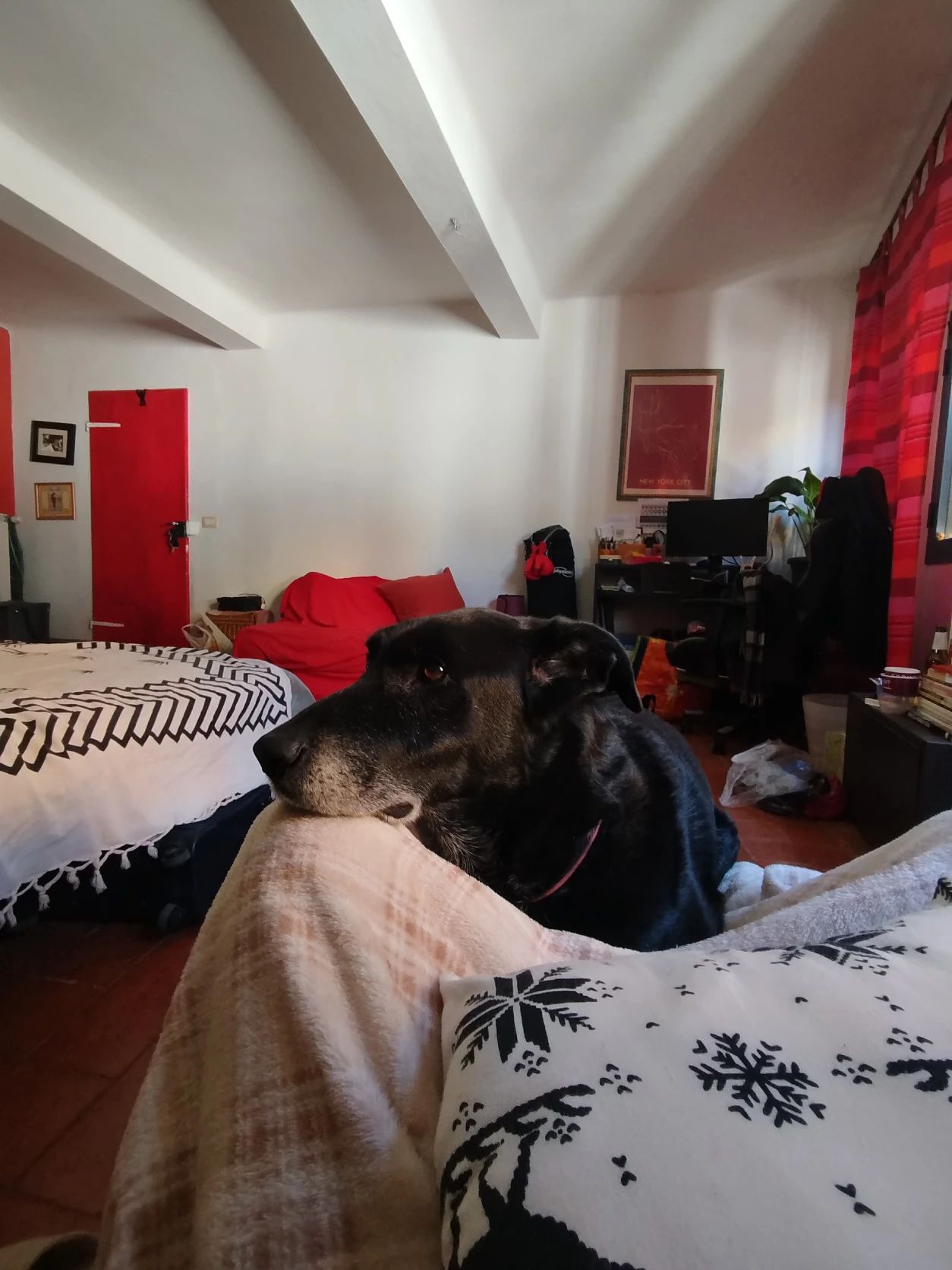 image-13