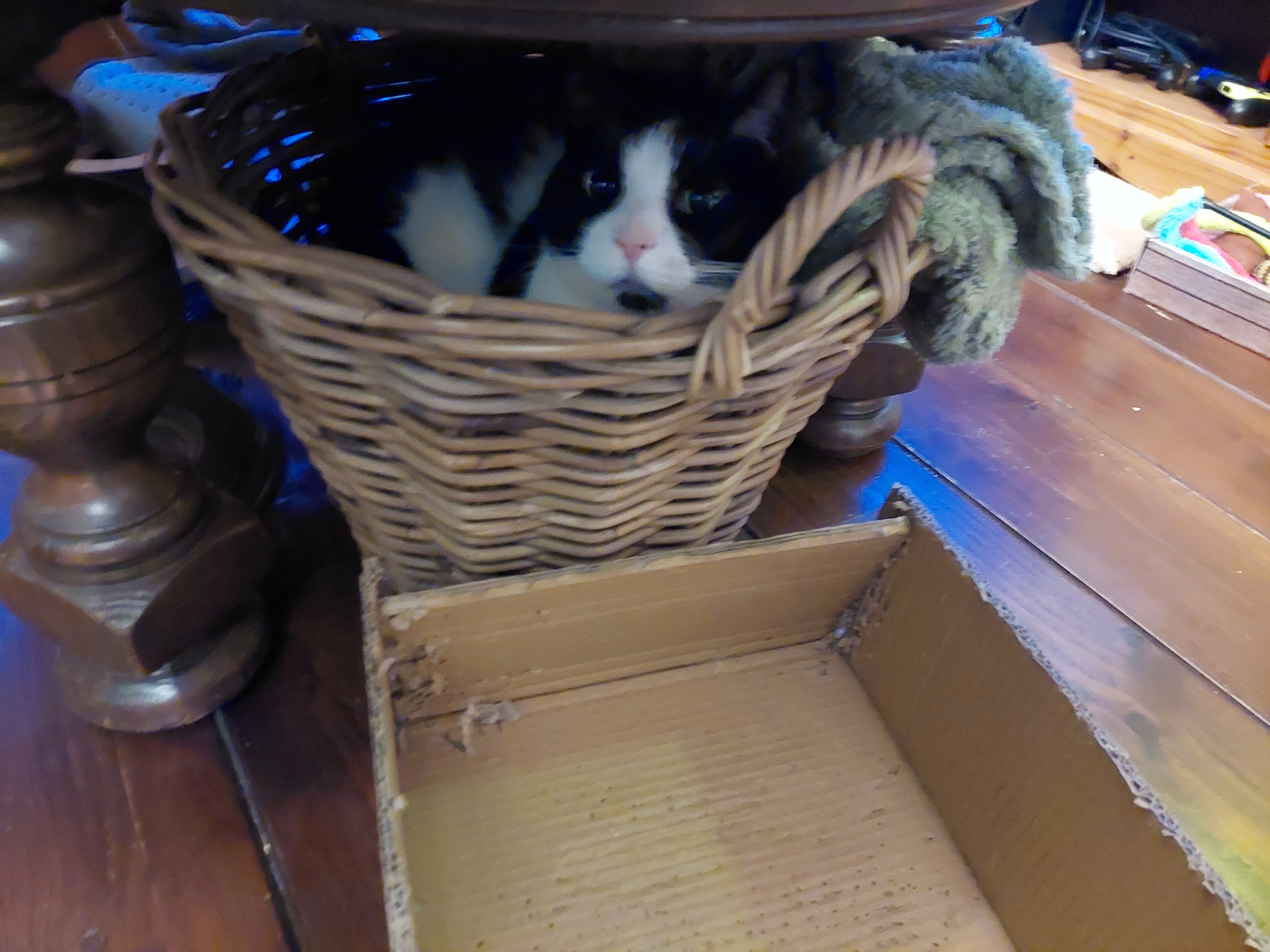 image-5